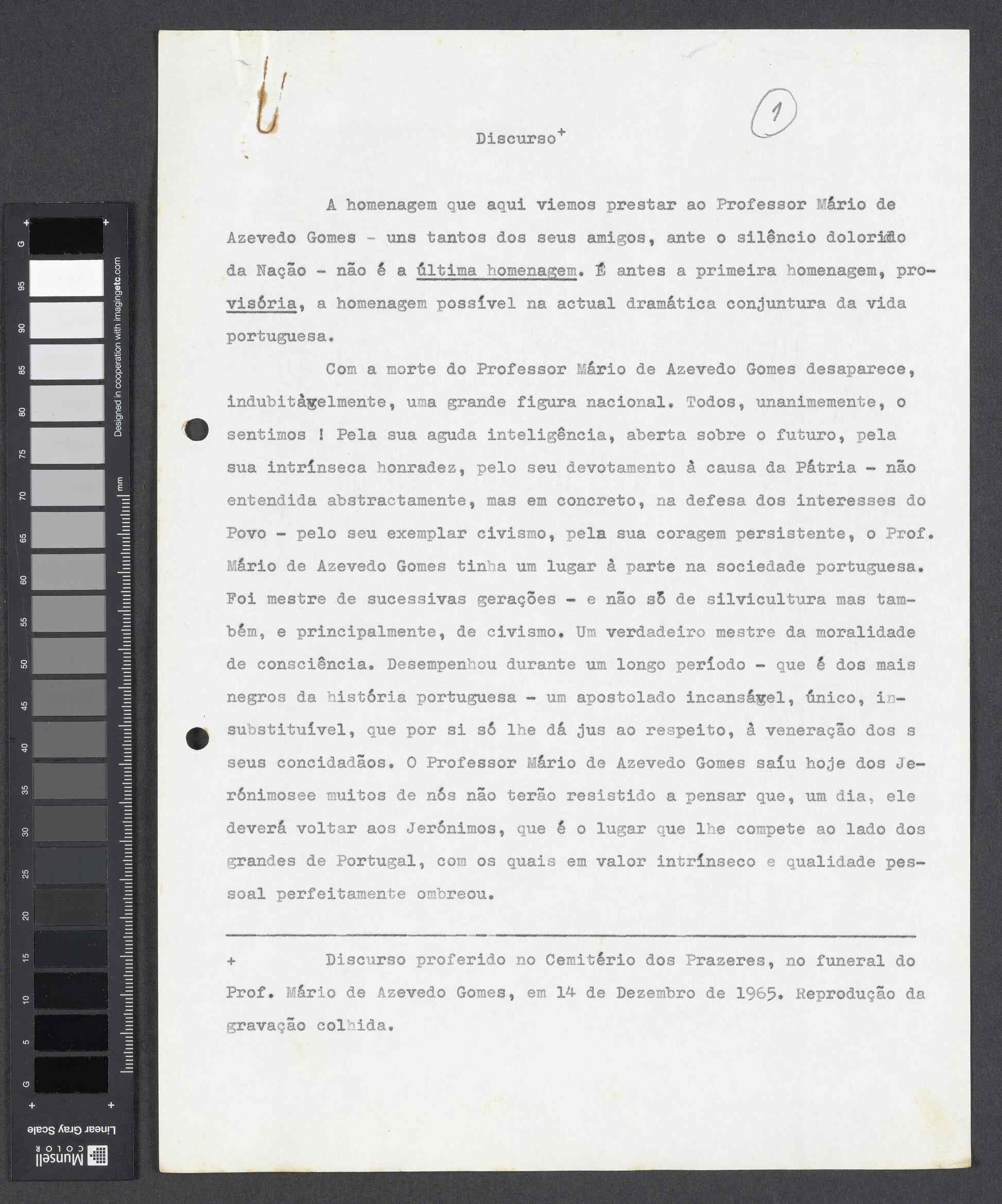 00031.001.001- pag.13
