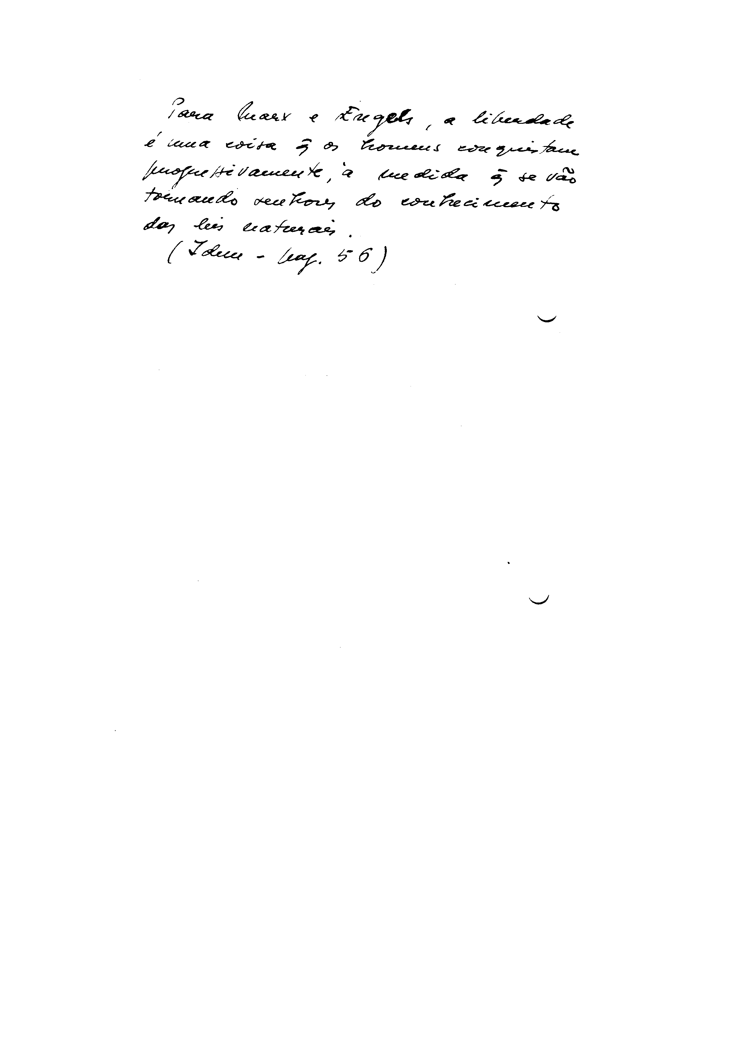 00339.032- pag.2