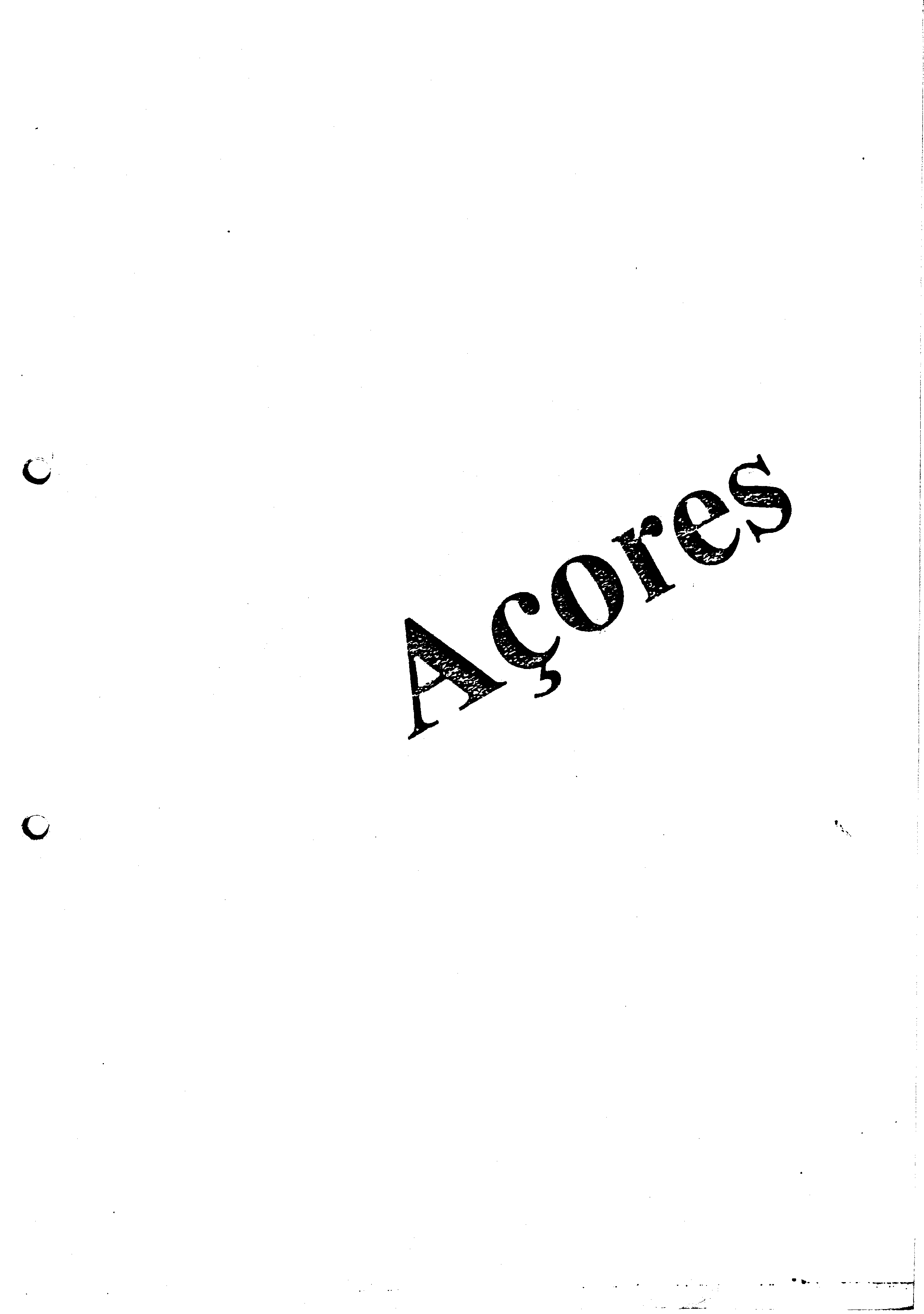 01315.001- pag.4
