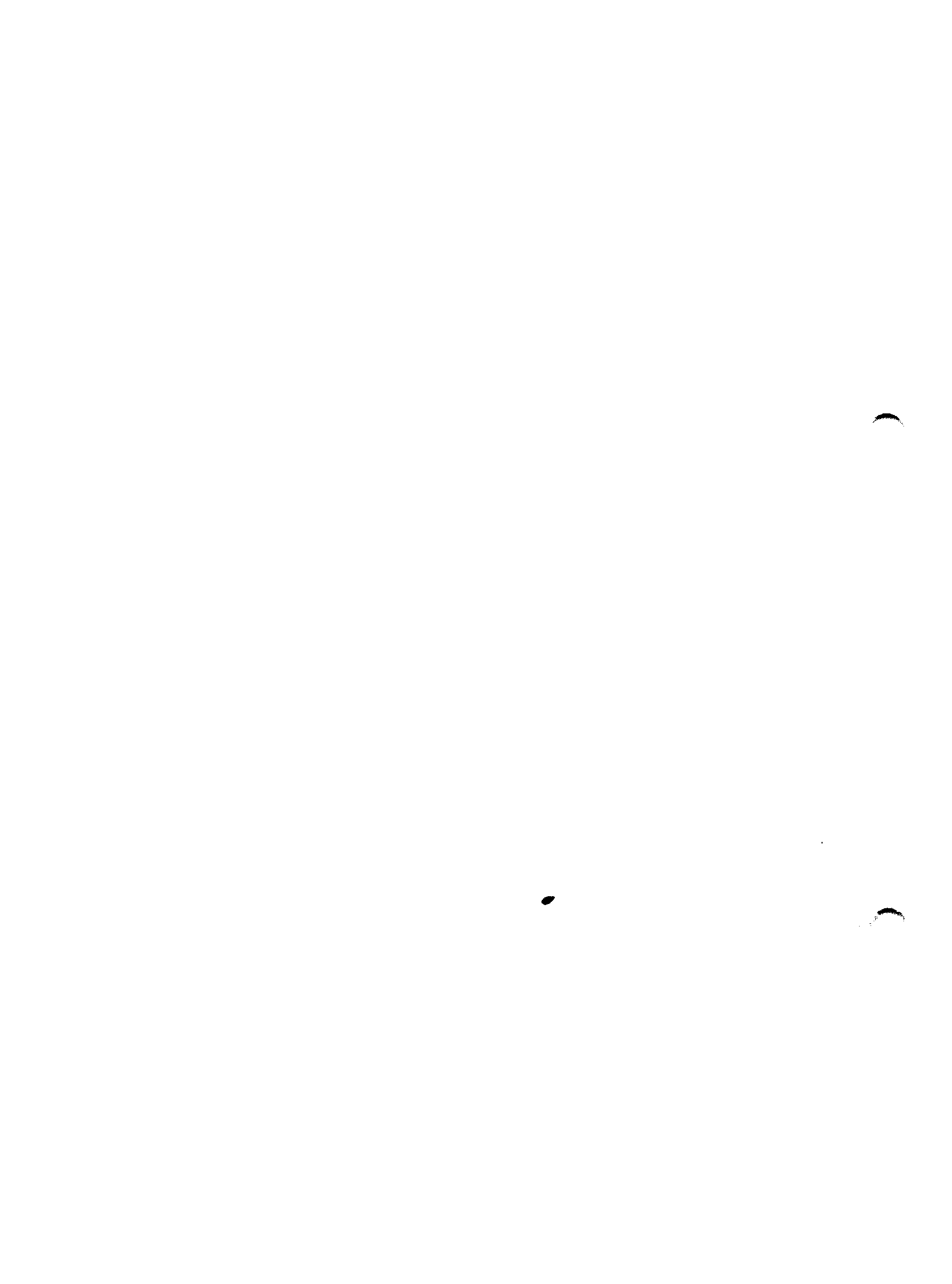 01523.001- pag.14