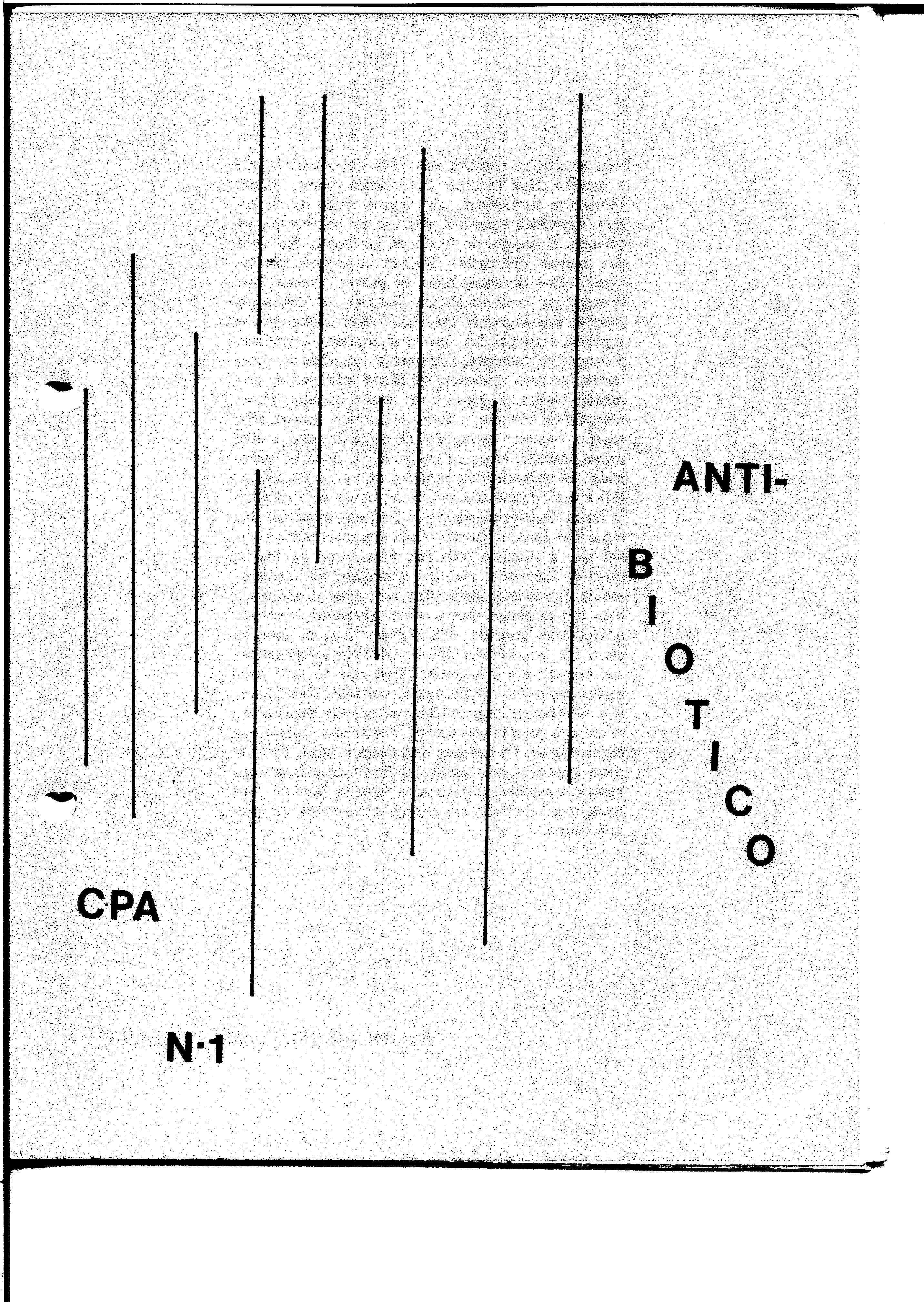 02269.001.036- pag.1