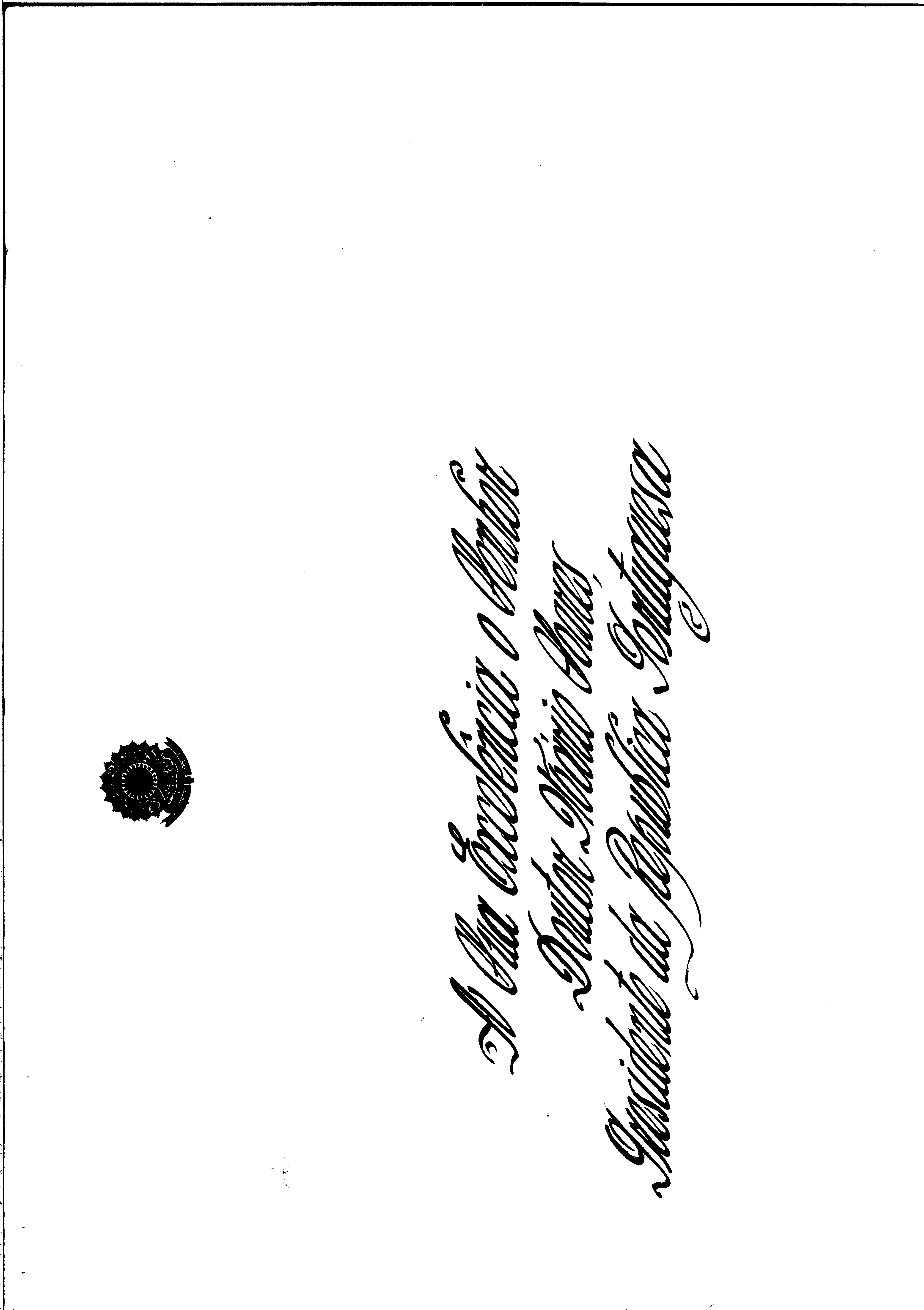 02933.013- pag.8