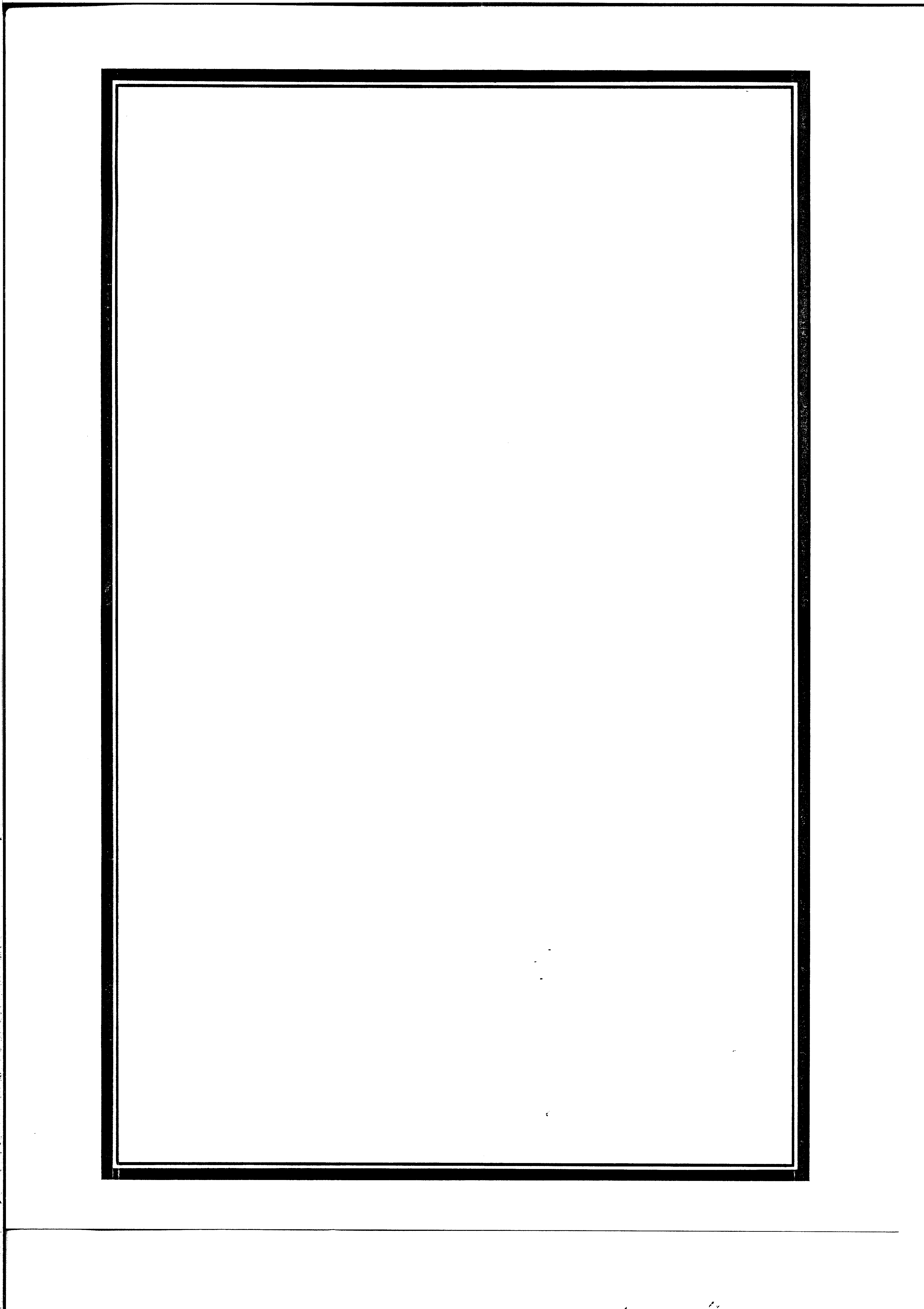 02938.035- pag.4