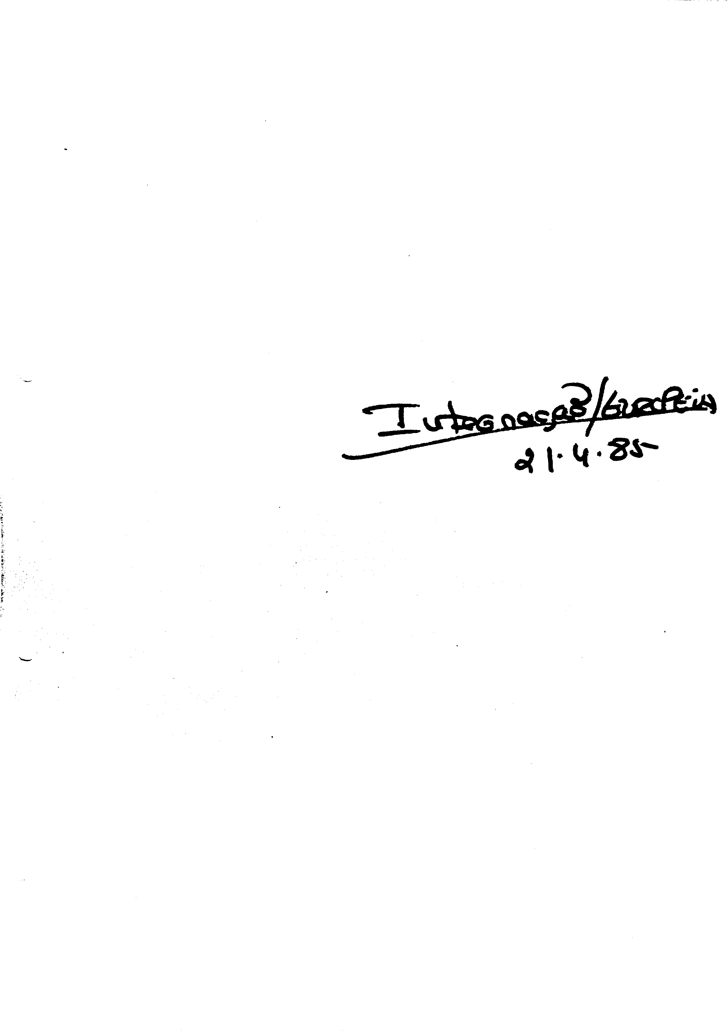 03484.003- pag.2