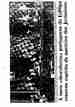 p. 92