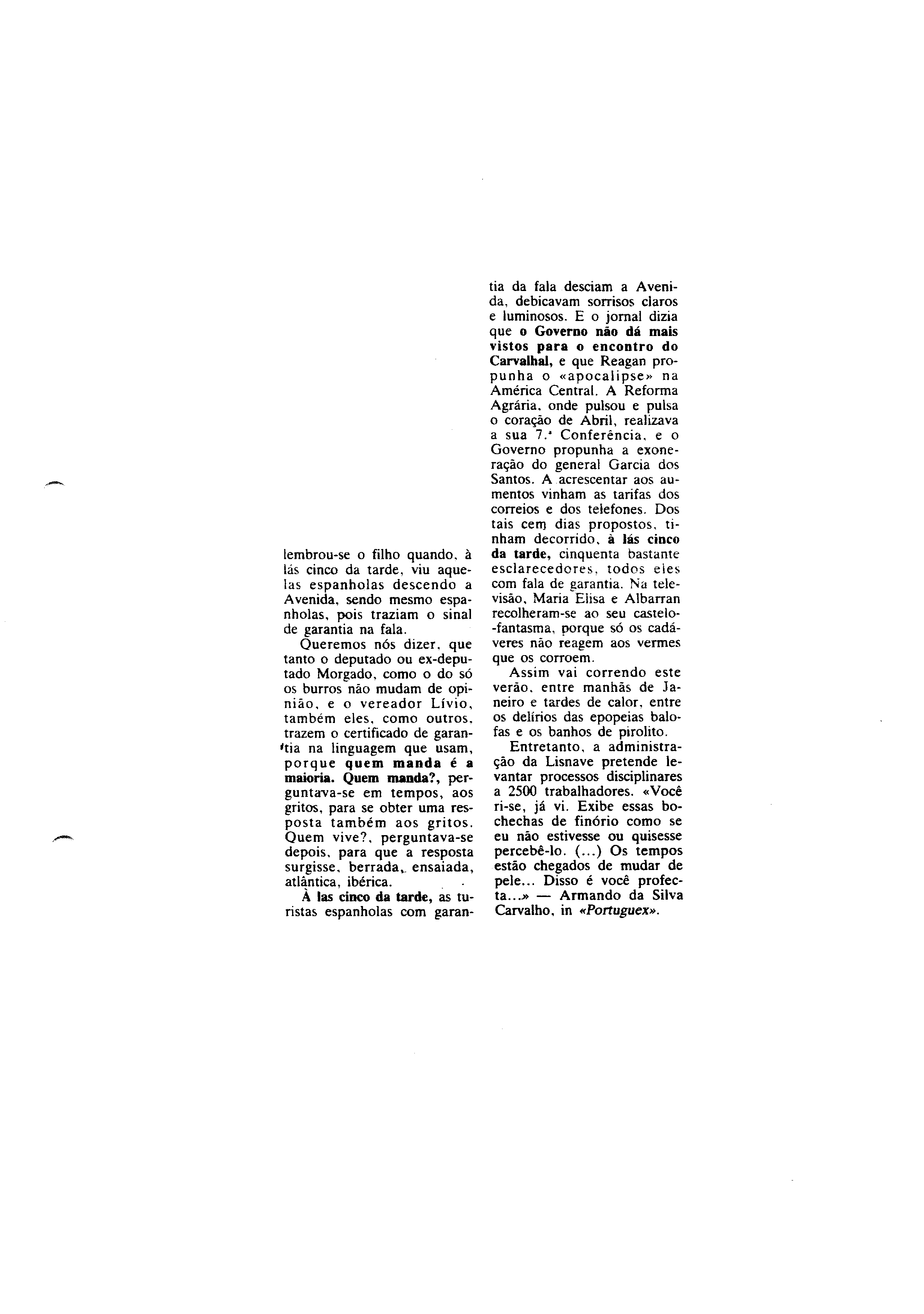 03556.003- pag.41