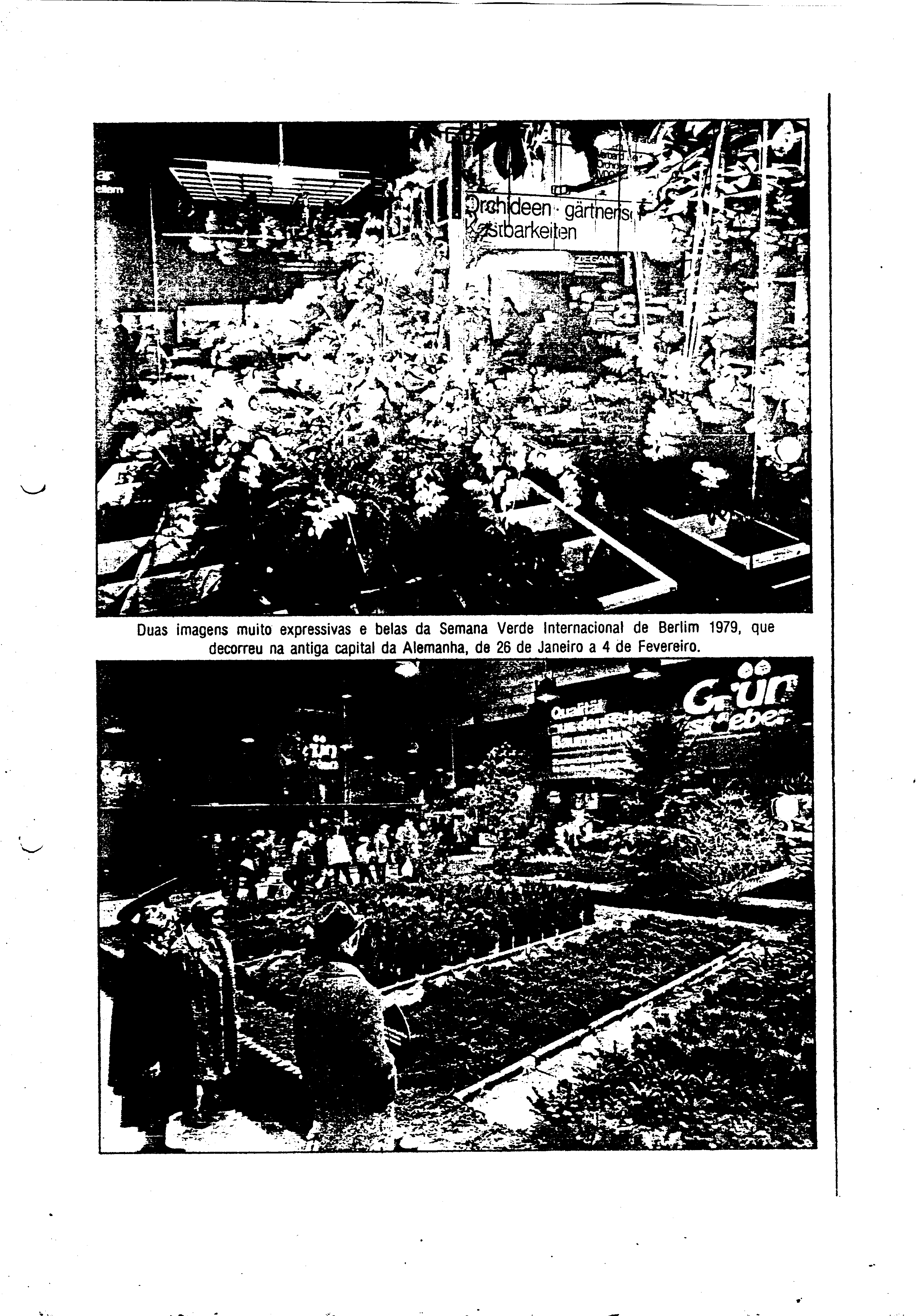 03595.001- pag.17