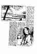 p. 56