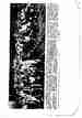 p. 88