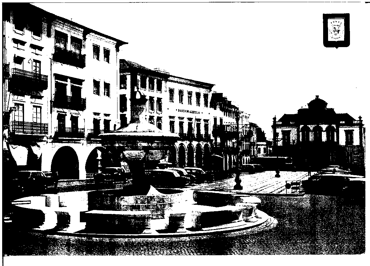 04278.013- pag.3