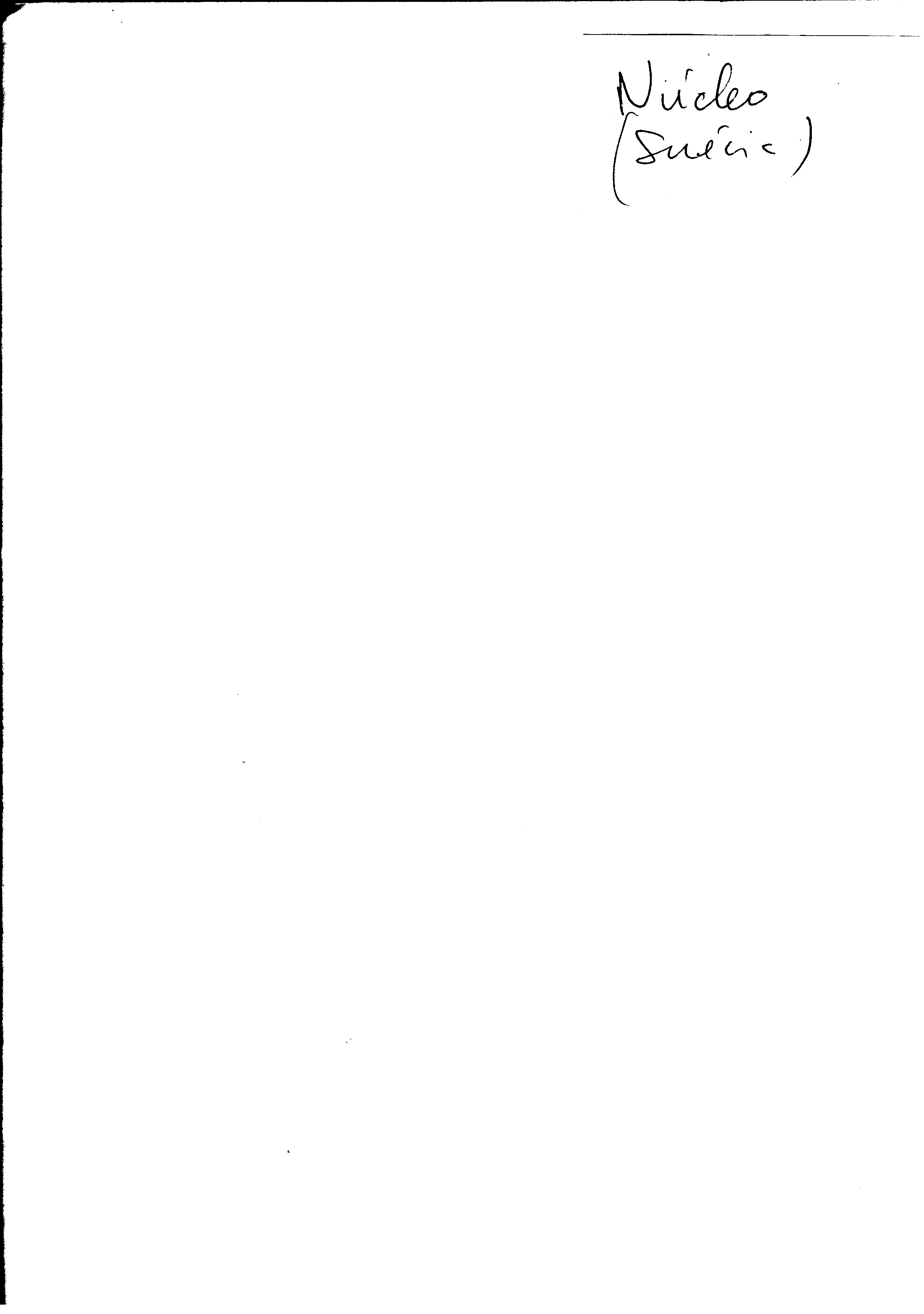 04283.013- pag.2