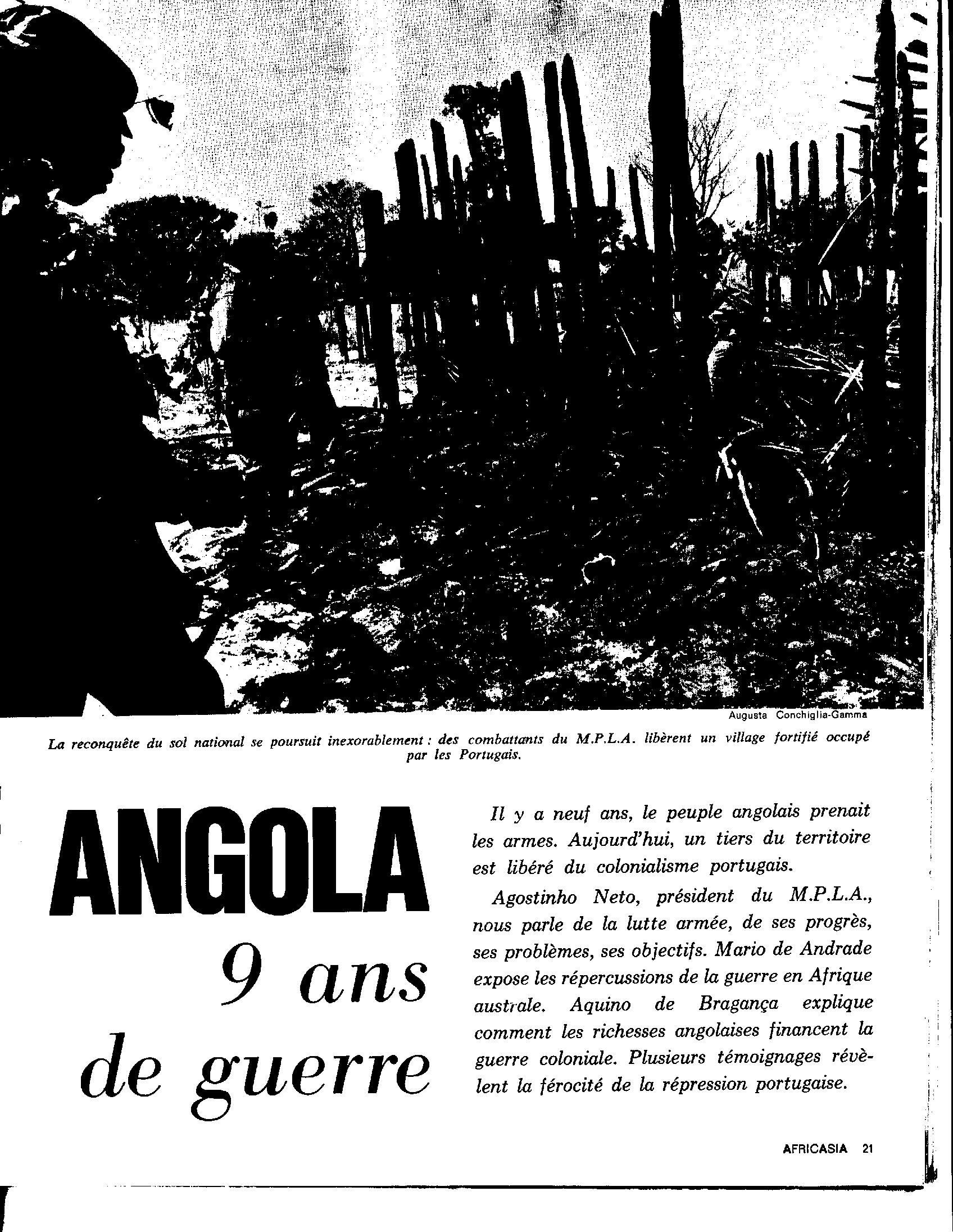 04316.011.001- pag.3
