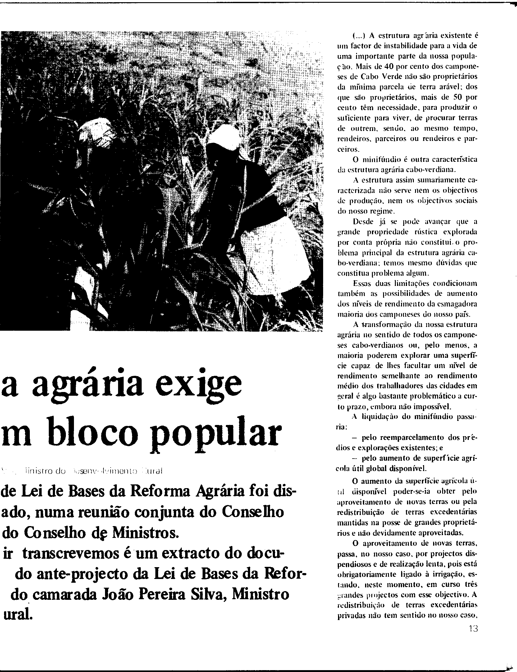 04330.003.001- pag.13