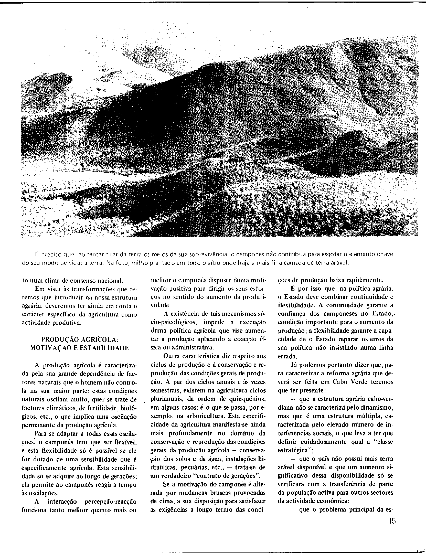 04330.003.001- pag.15