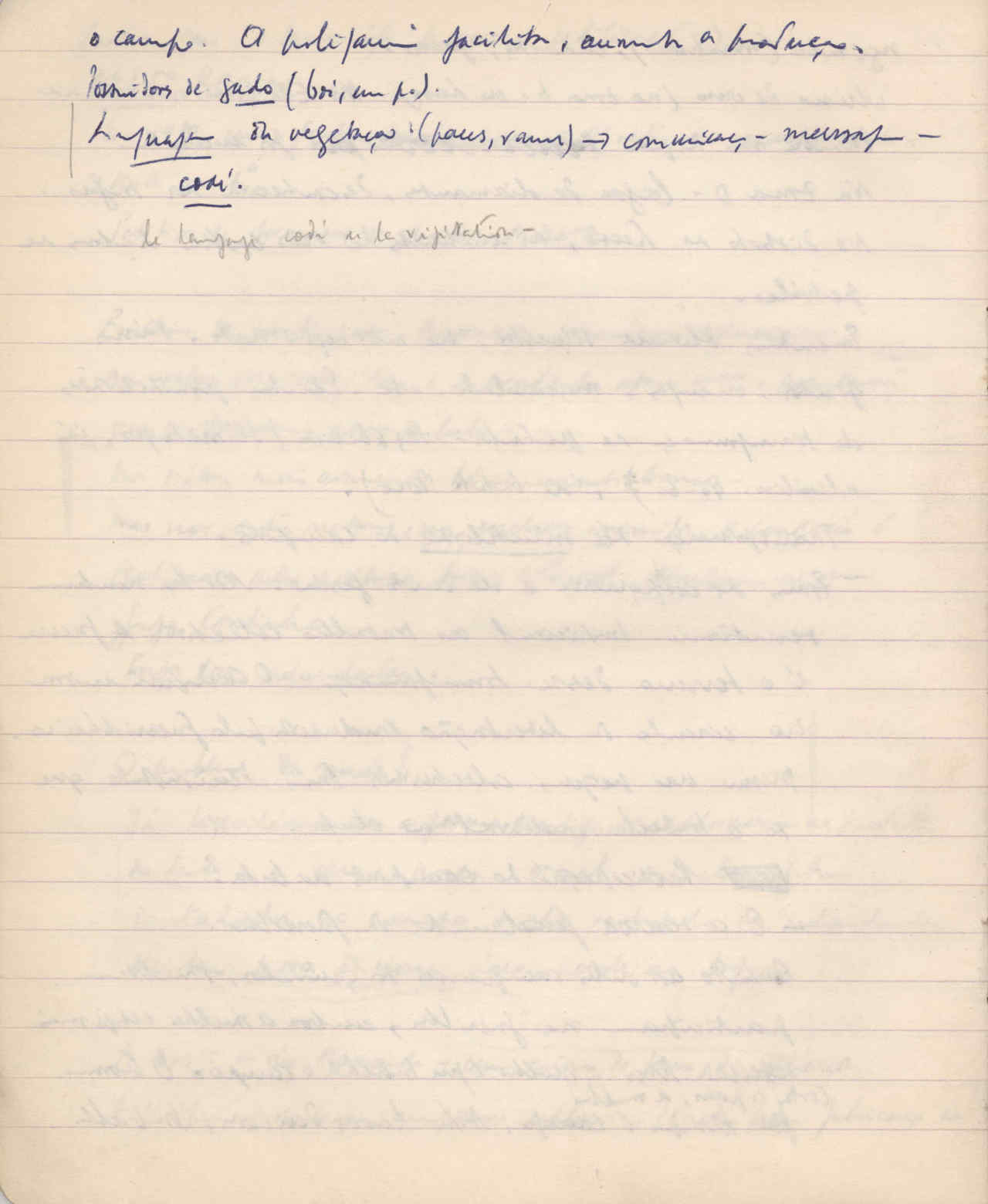 04333.010.001- pag.16