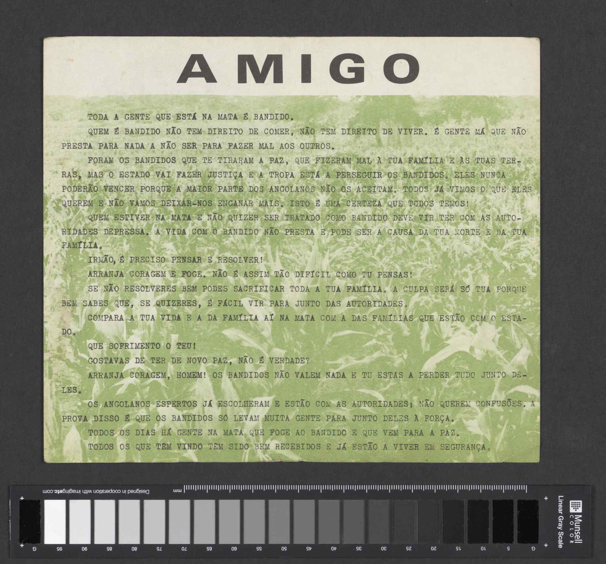 04333.011.001- pag.10