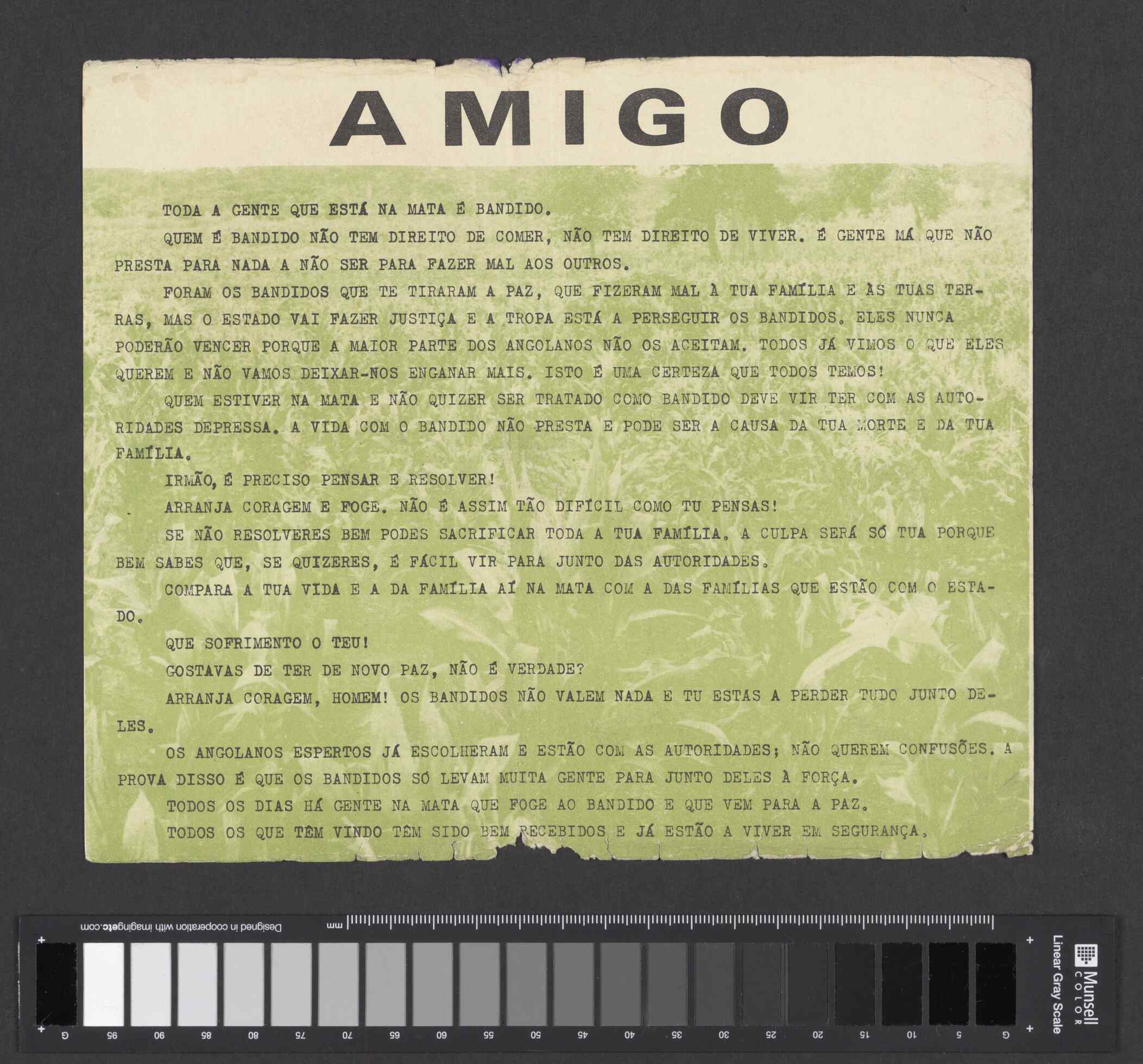 04333.011.001- pag.12