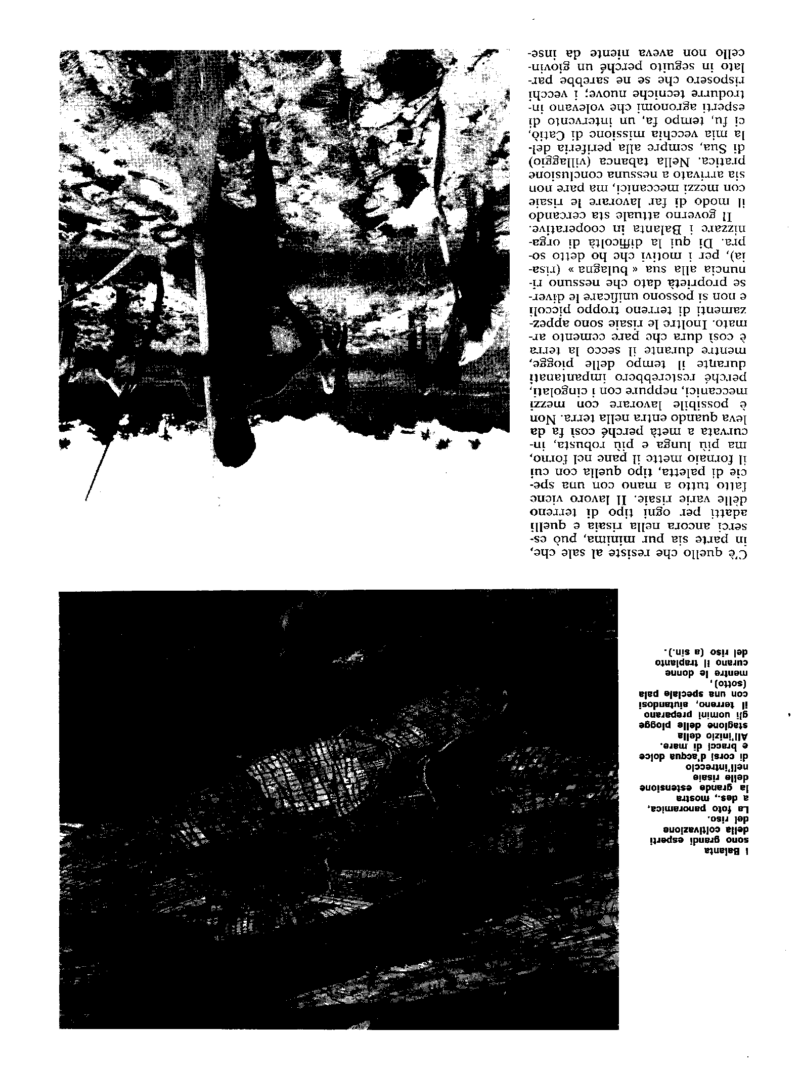 04348.001.001- pag.8