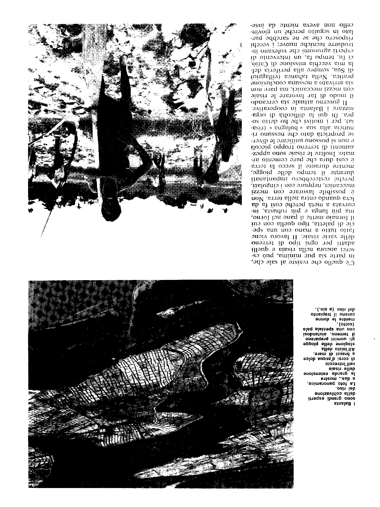 04348.001.001- pag.9