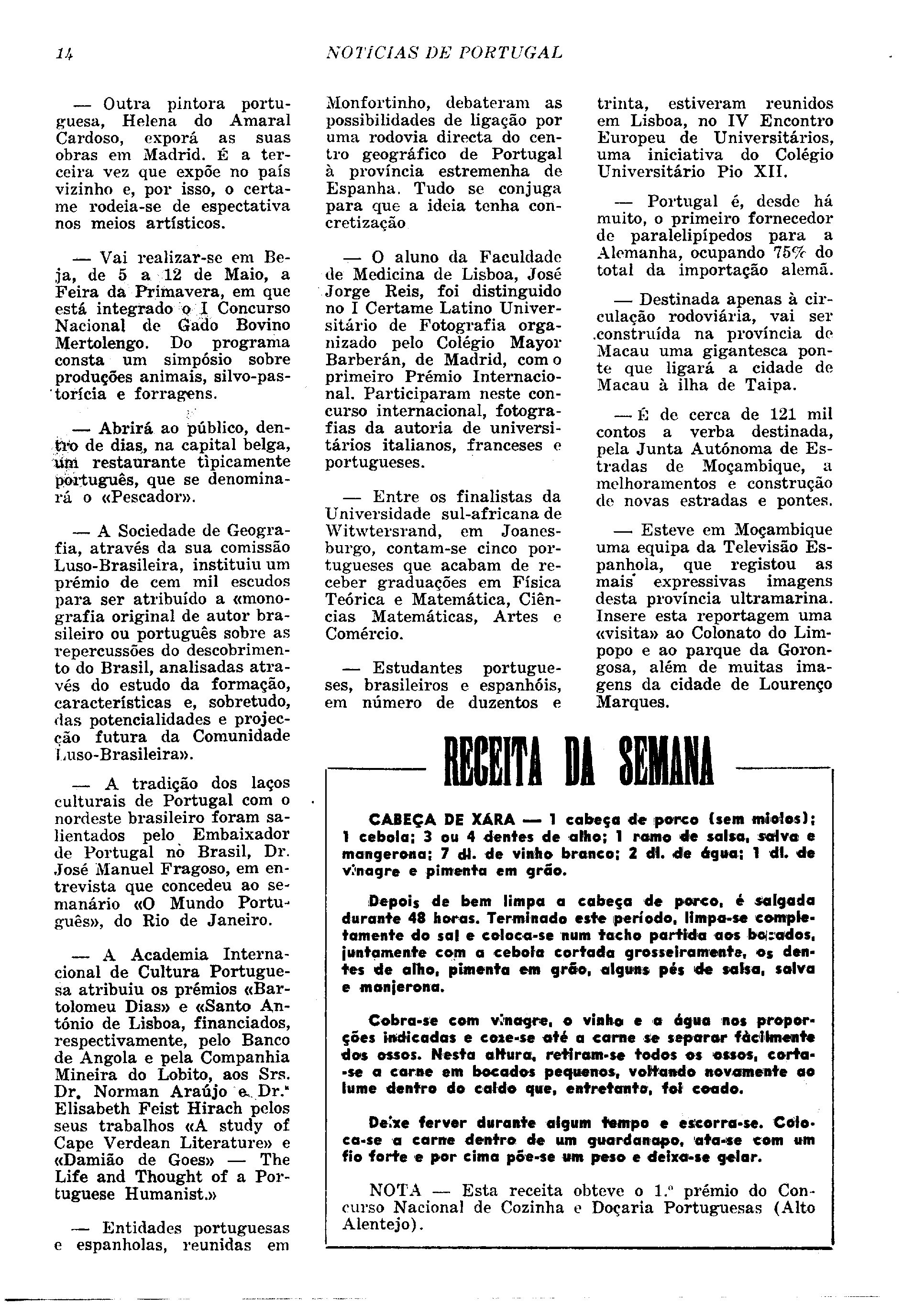04352.011.001- pag.13