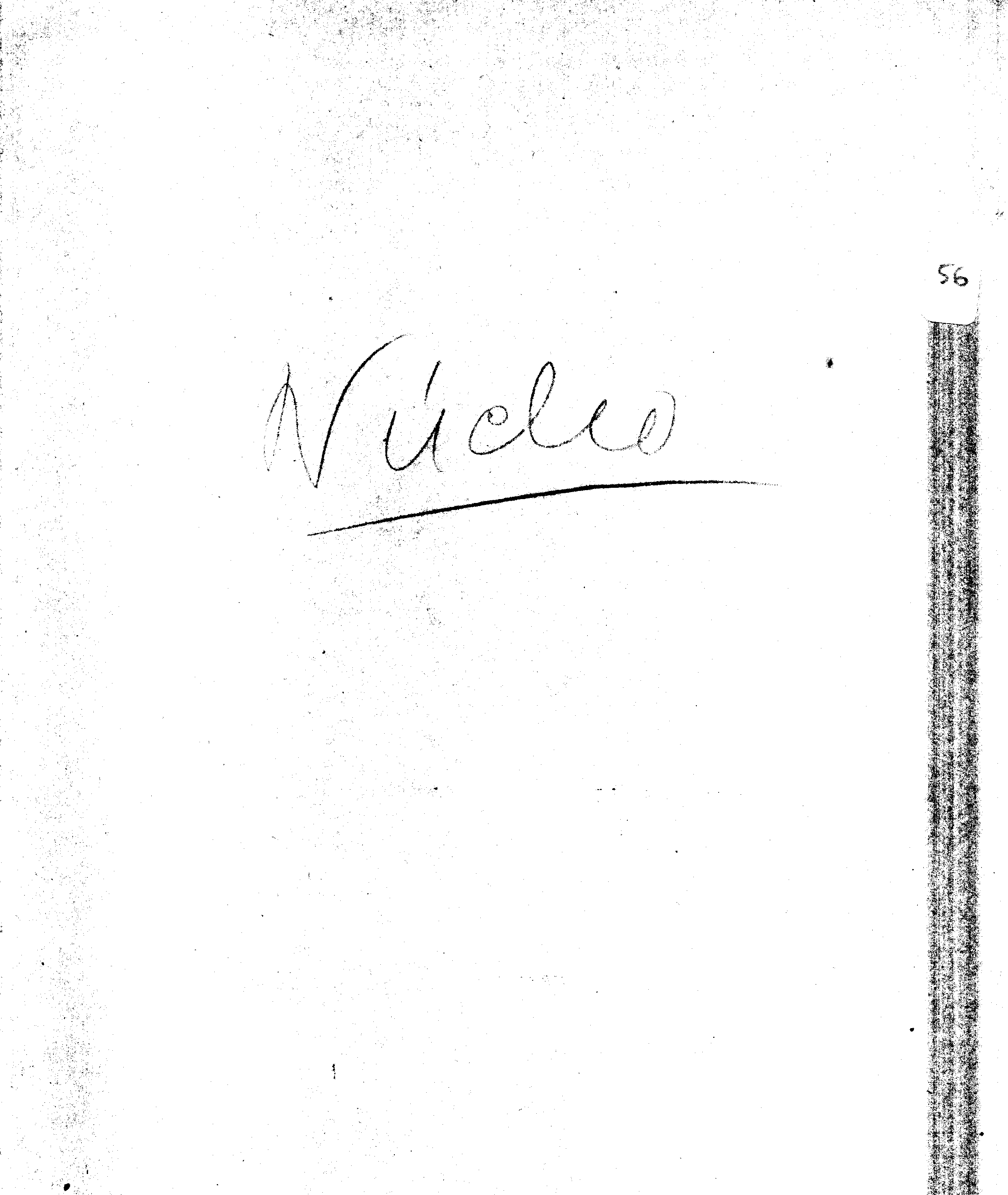 04399.024- pag.1