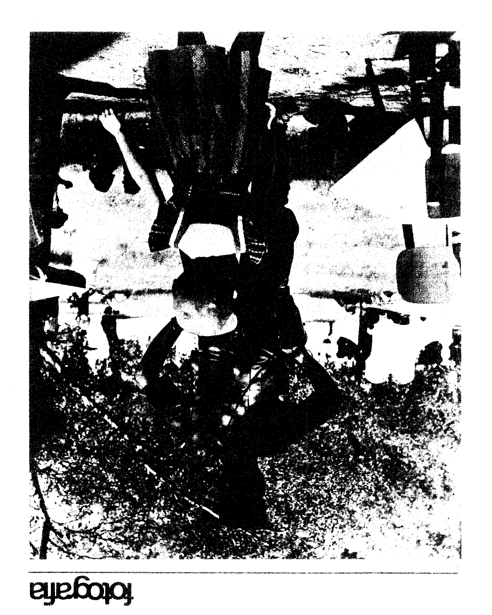 04406.001- pag.19