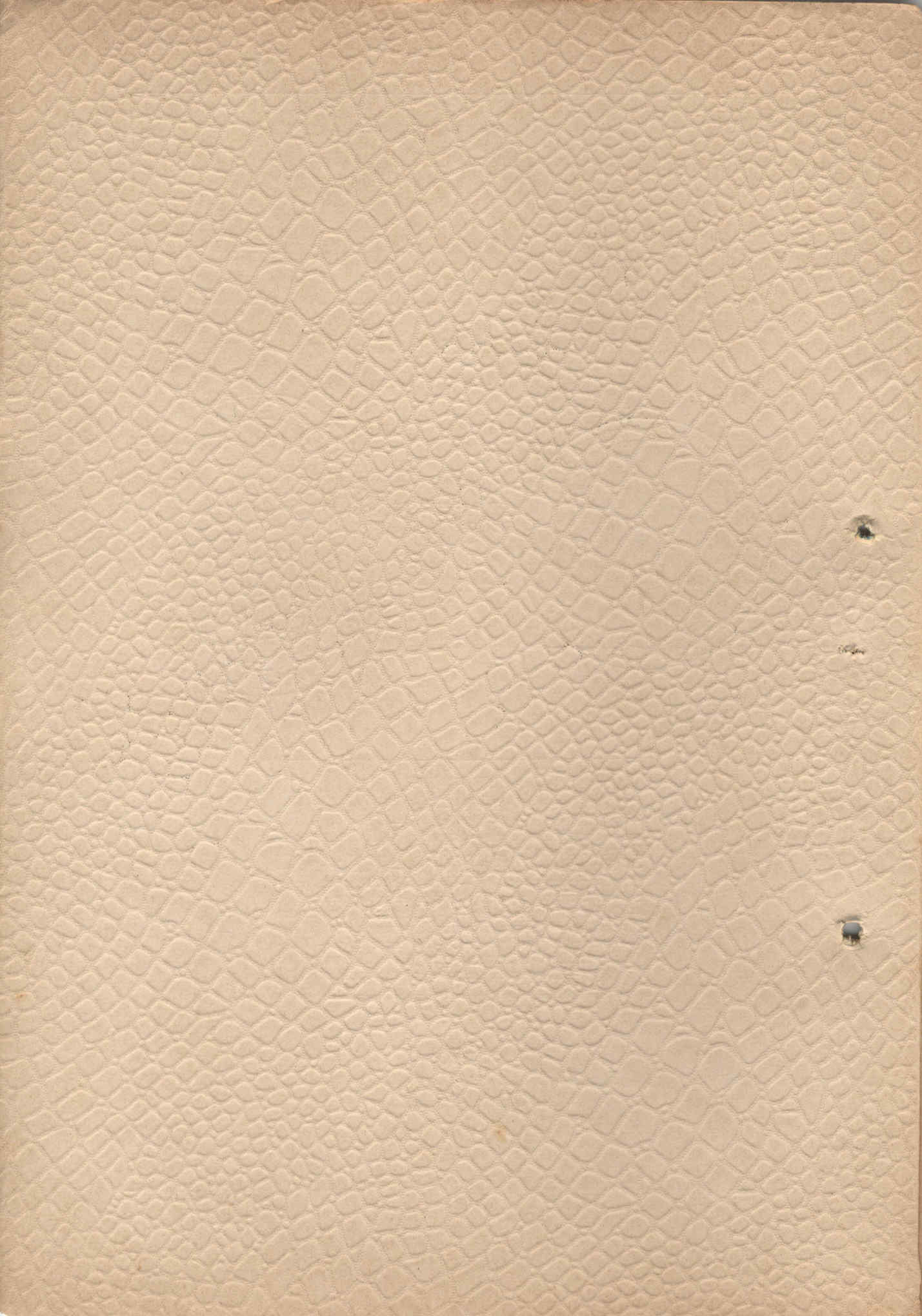 04502.001.017- pag.2