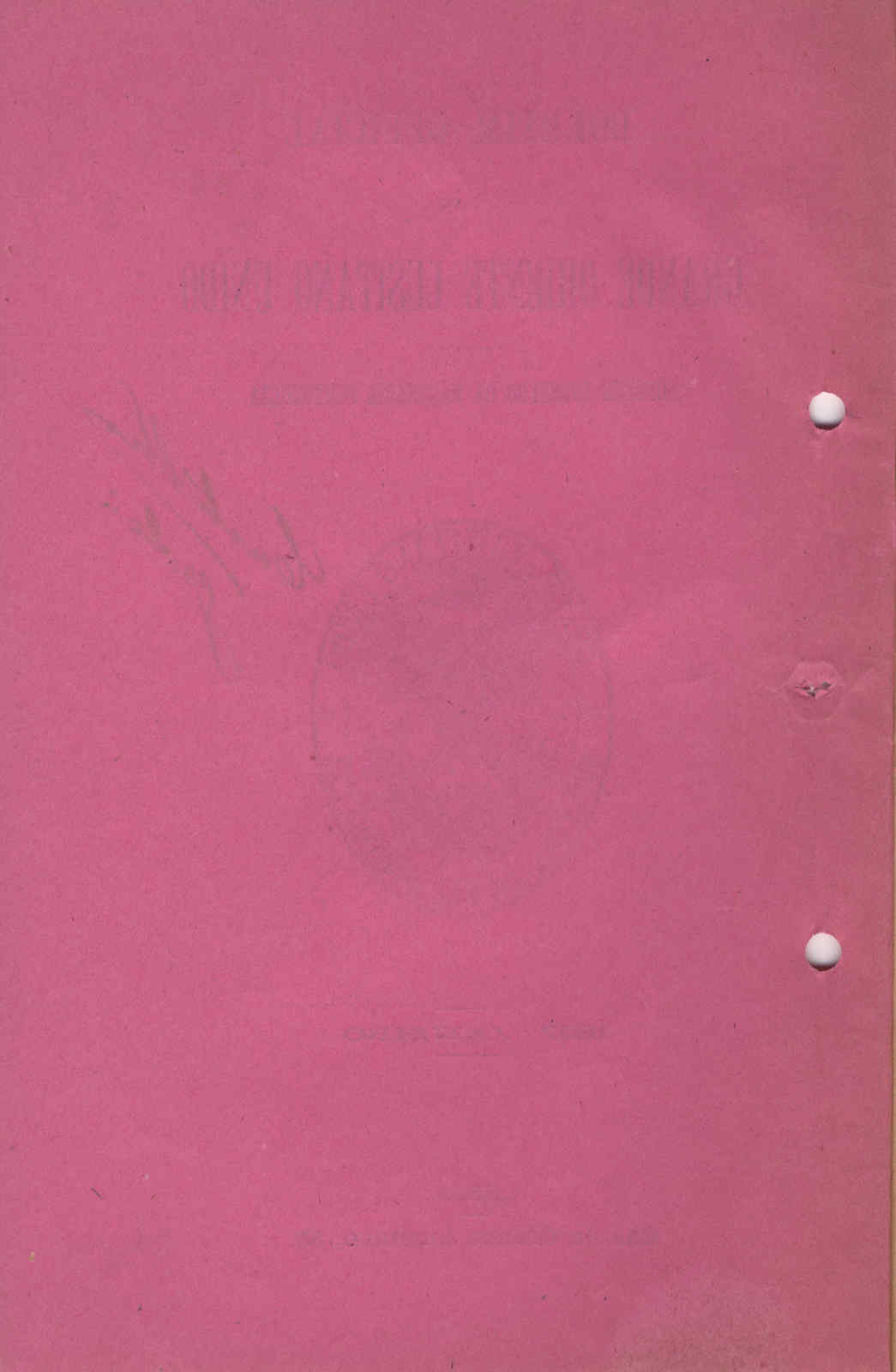 04503.001.002- pag.2