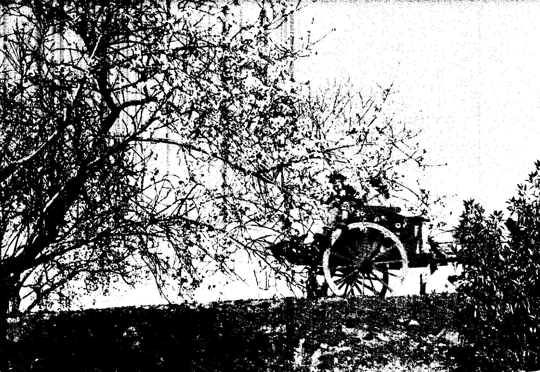 04545.017.001- pag.2