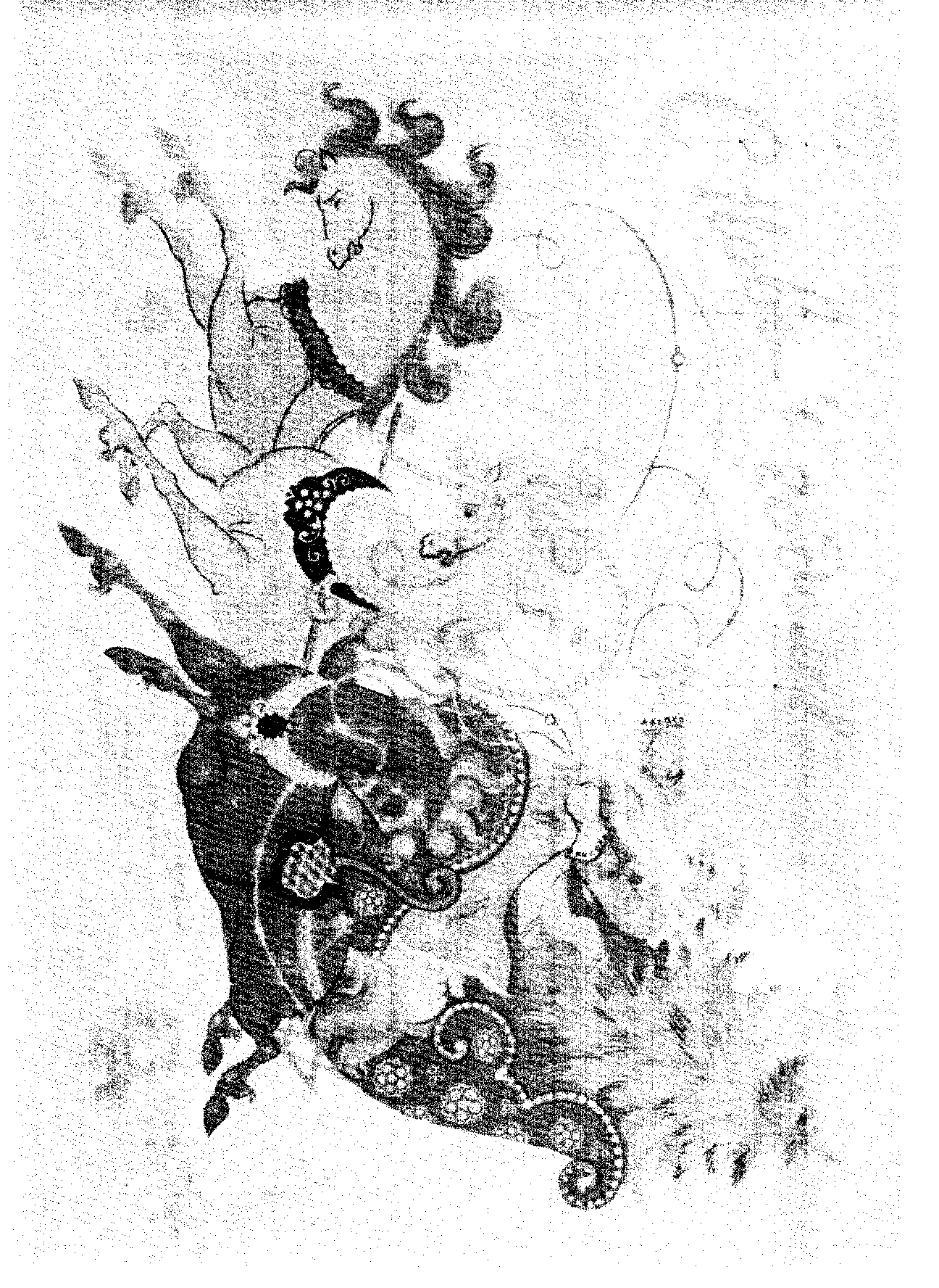 04606.047.067- pag.1