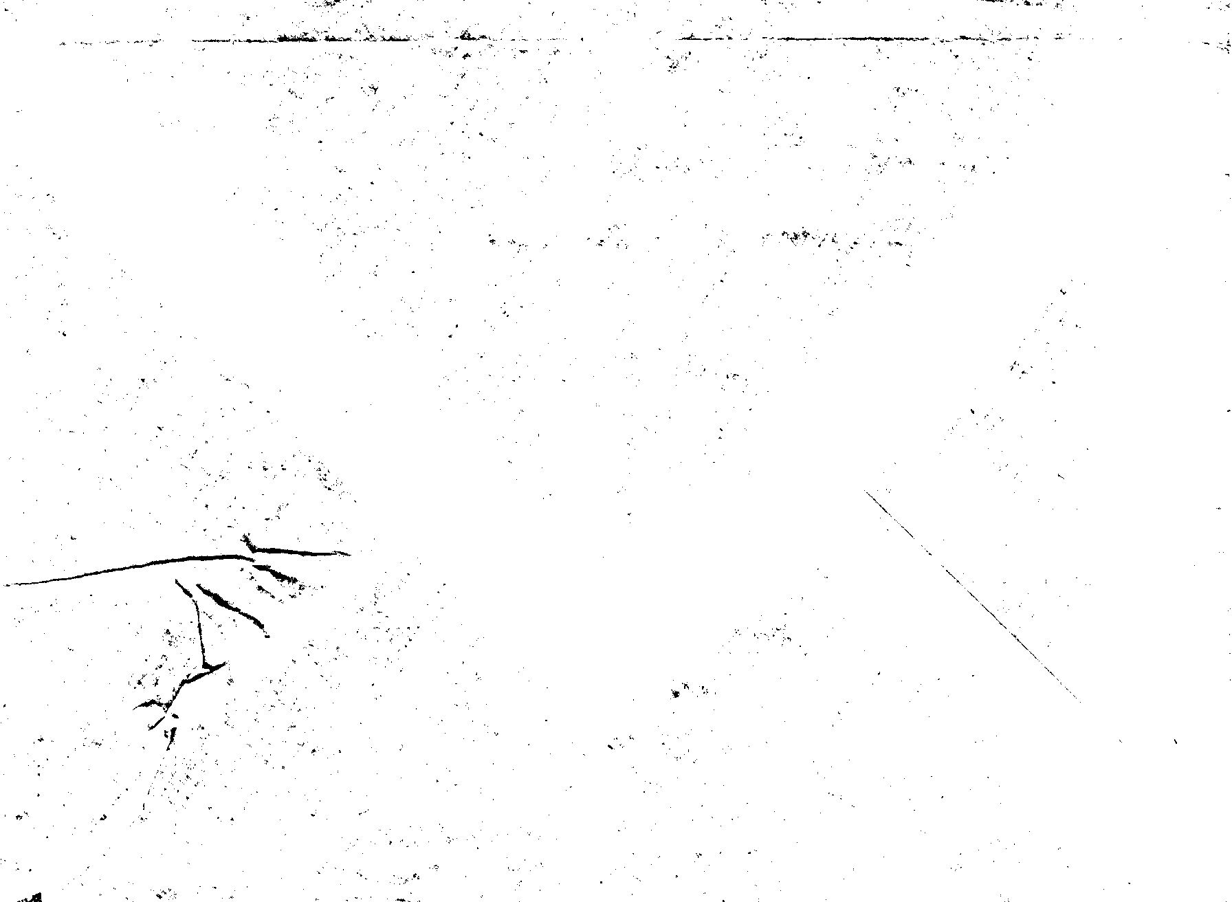 04688.005- pag.3