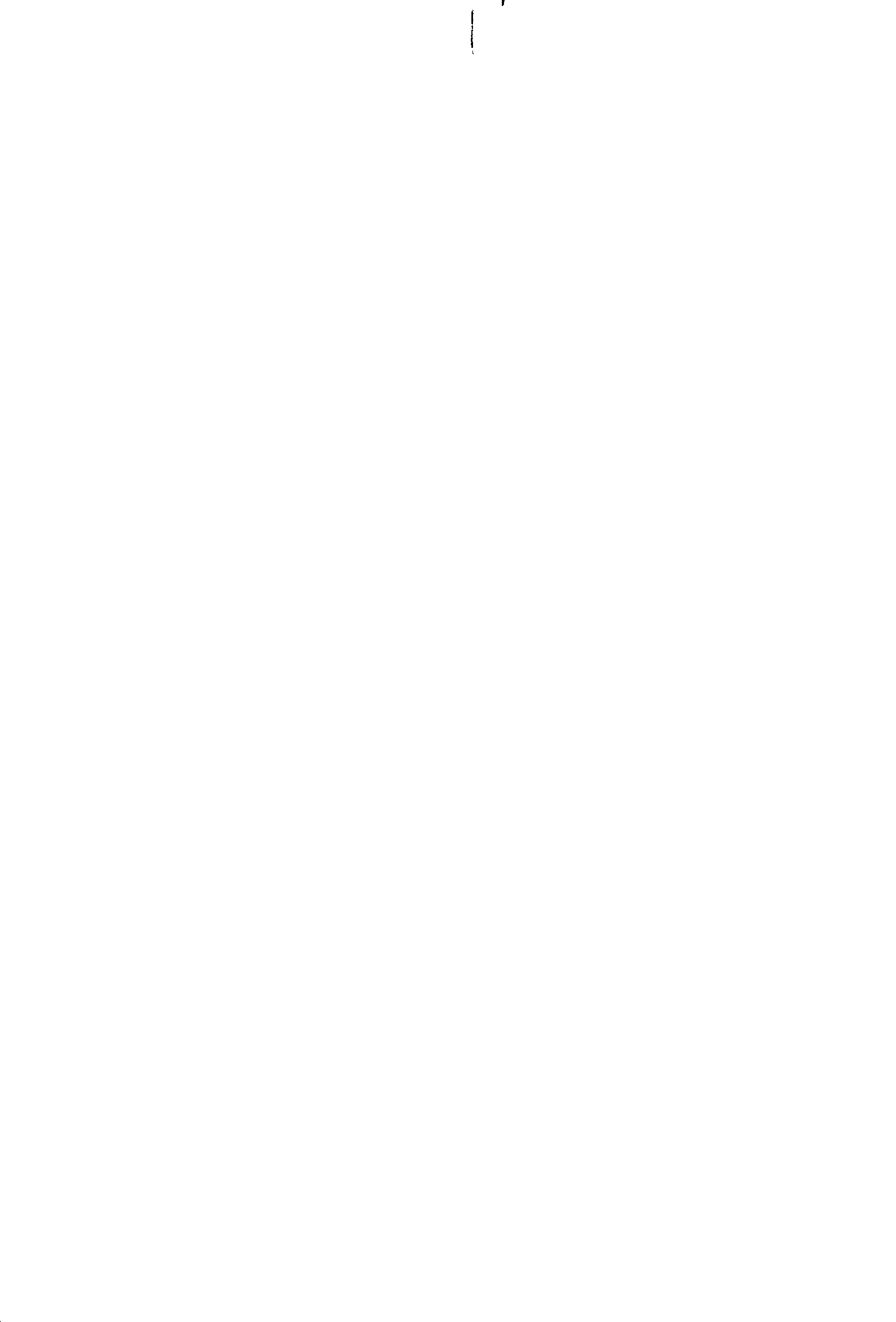 04692.011- pag.4
