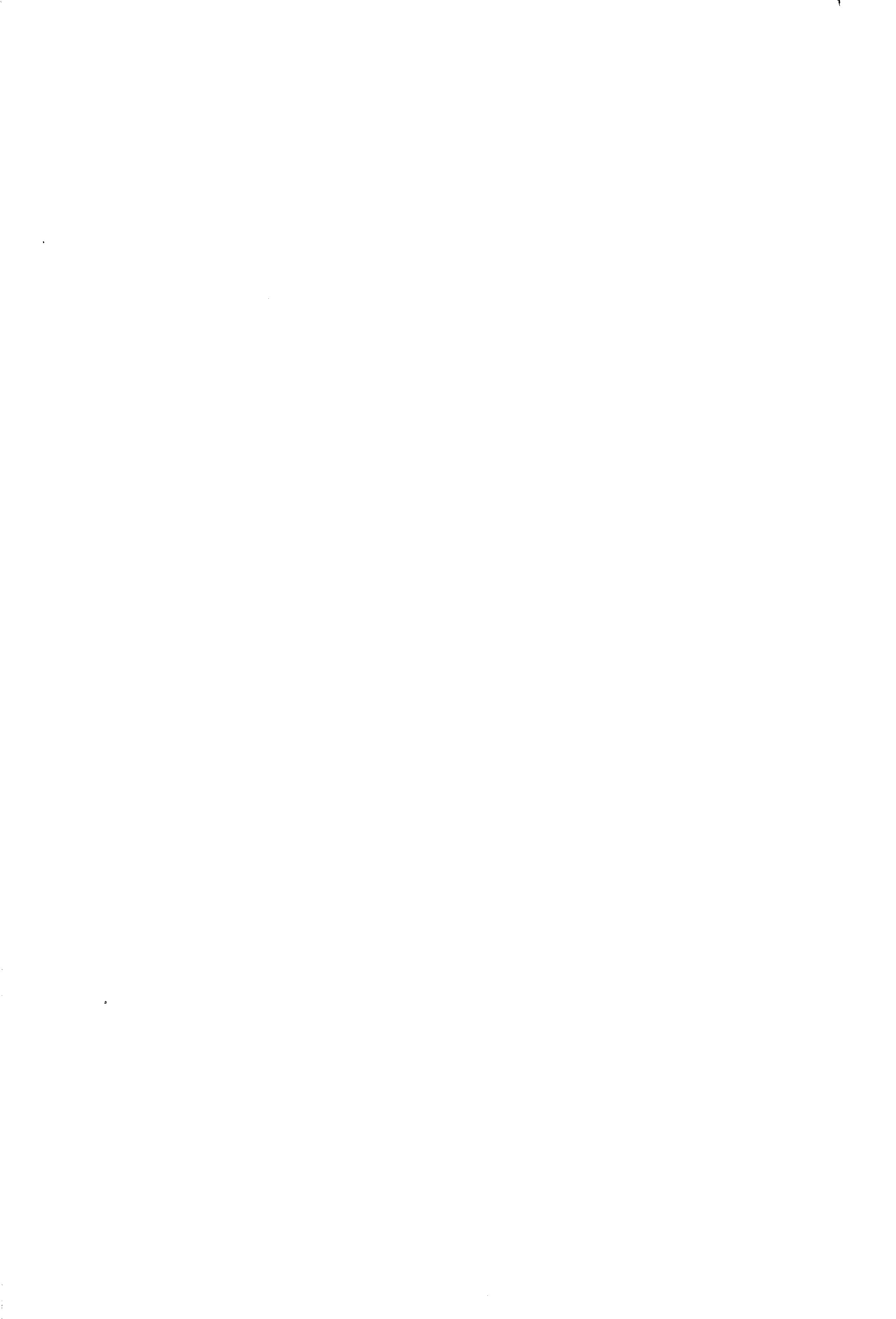 04719.055- pag.2