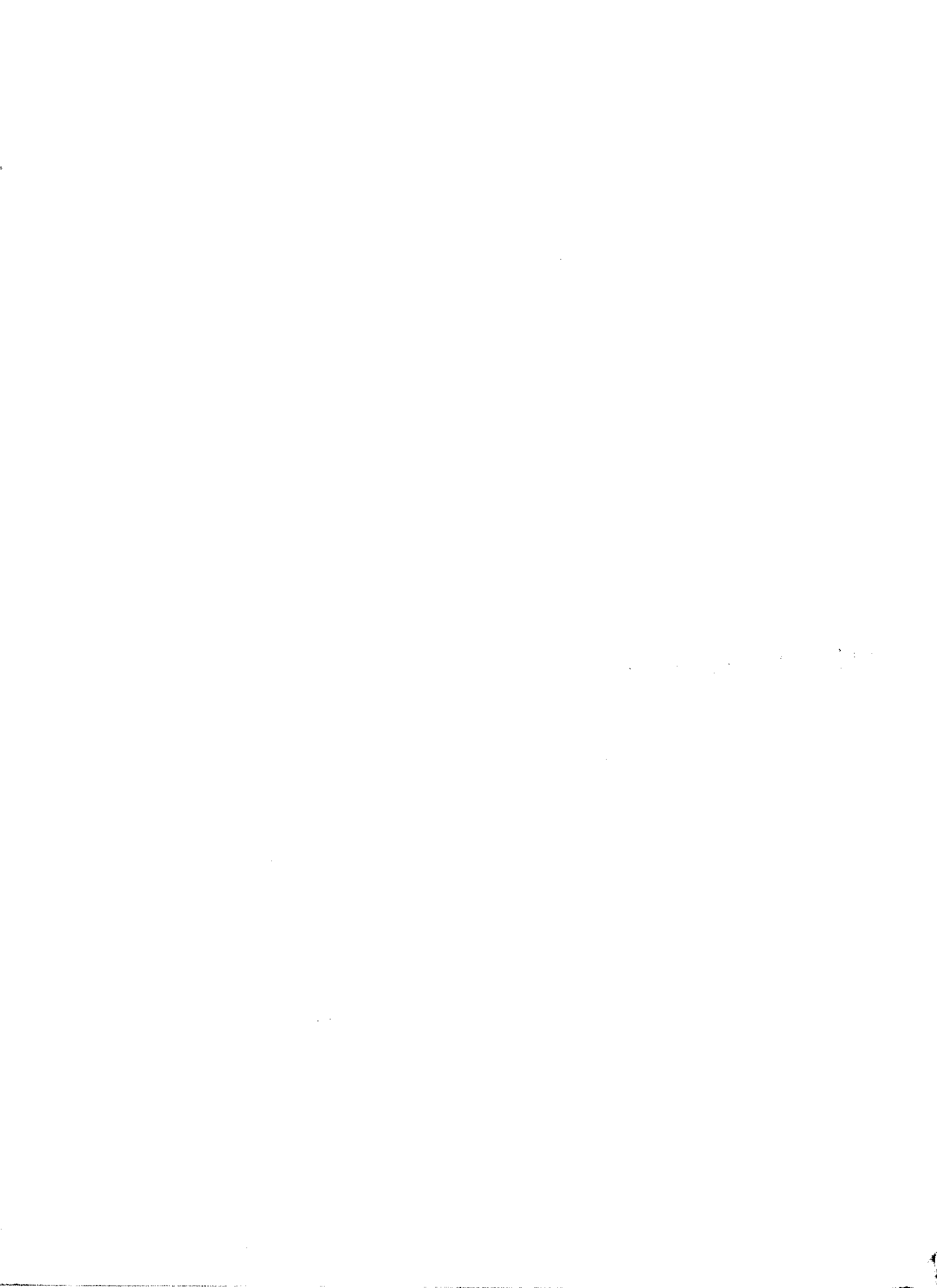04934.033- pag.2