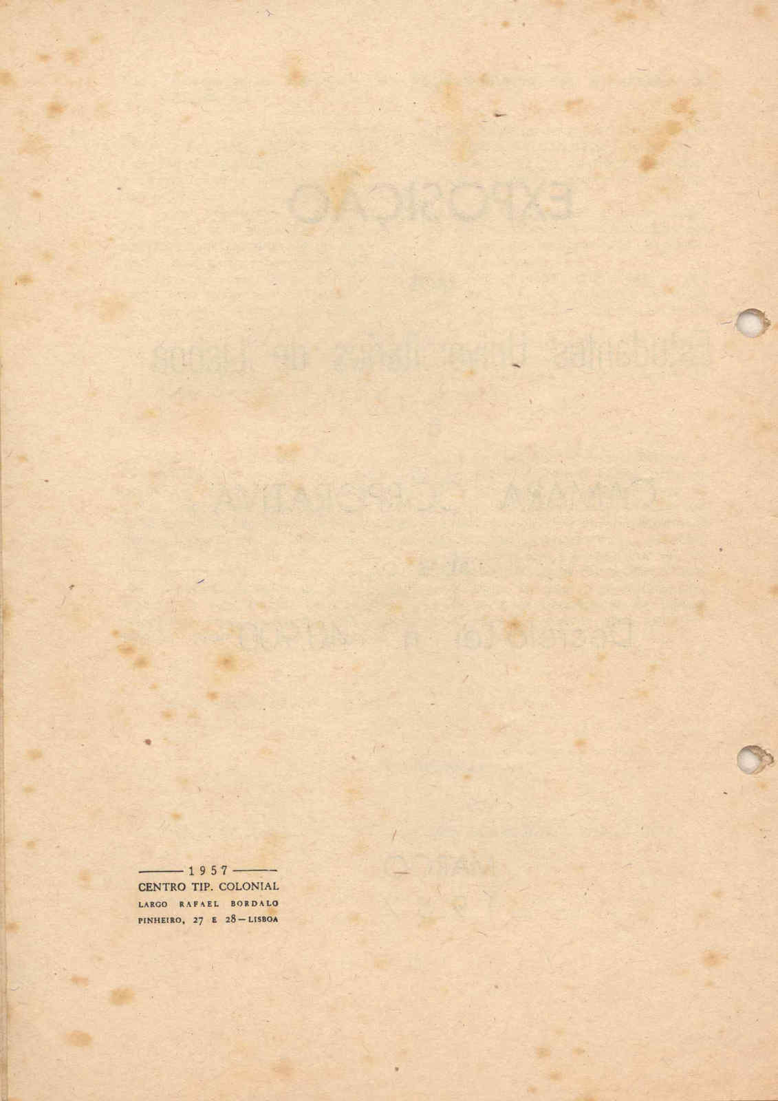 04952.016- pag.2