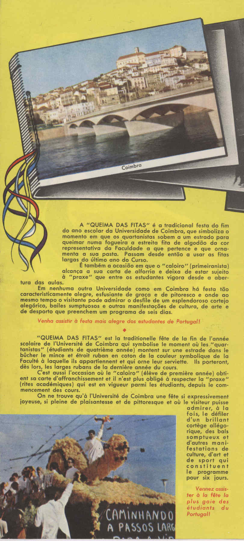 04952.115- pag.2
