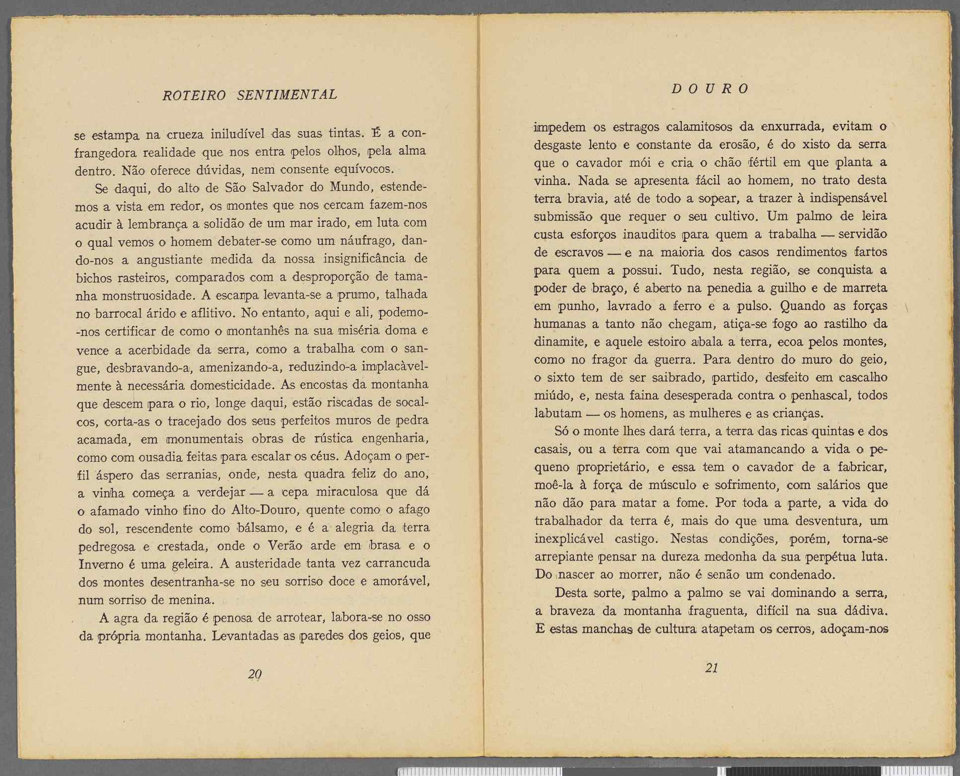 04959.064.001- pag.12