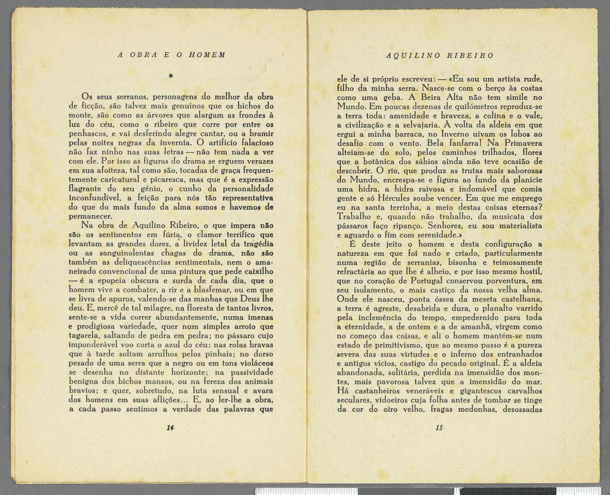 04959.073.001- pag.8