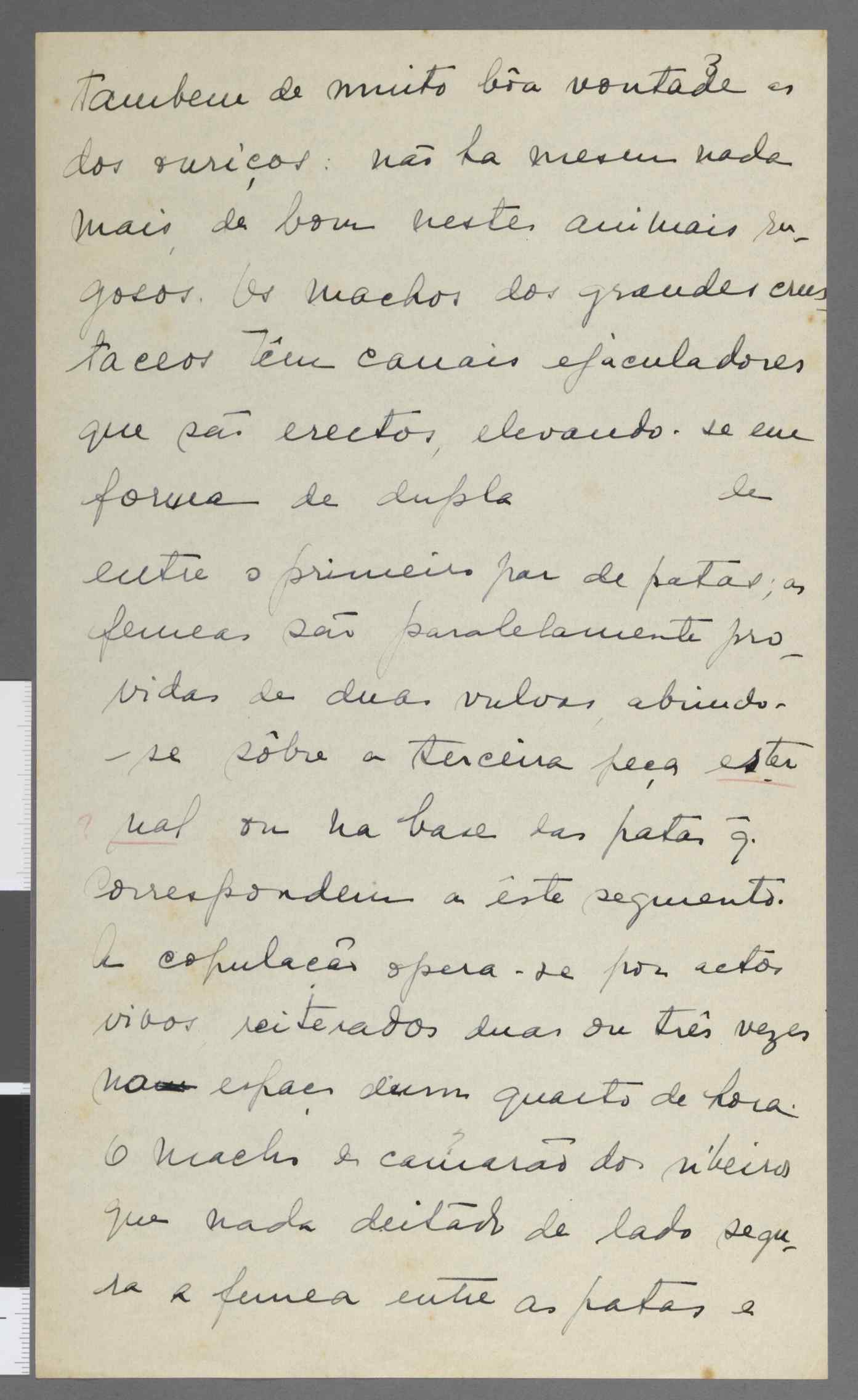 04959.083.001- pag.3