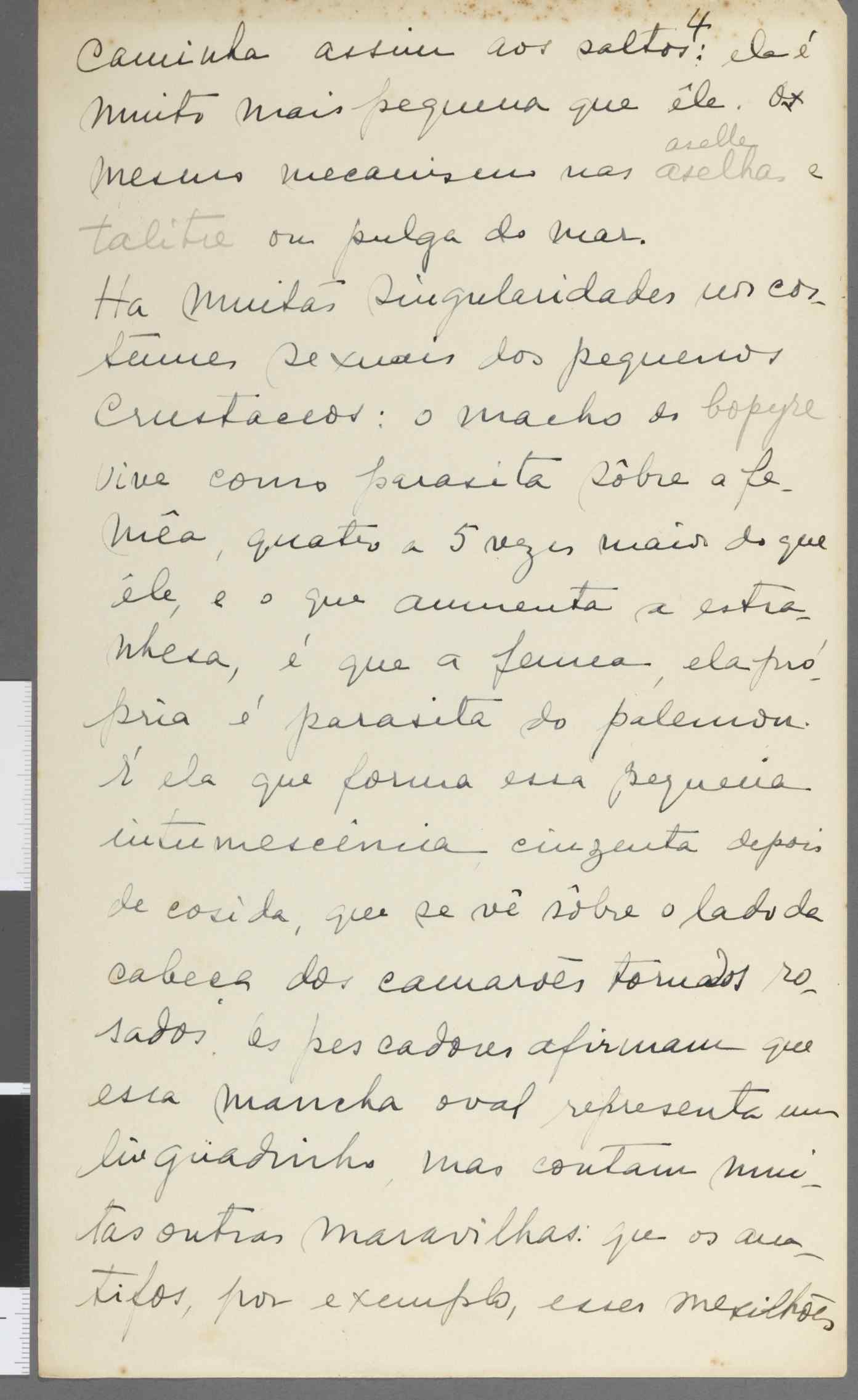 04959.083.001- pag.4