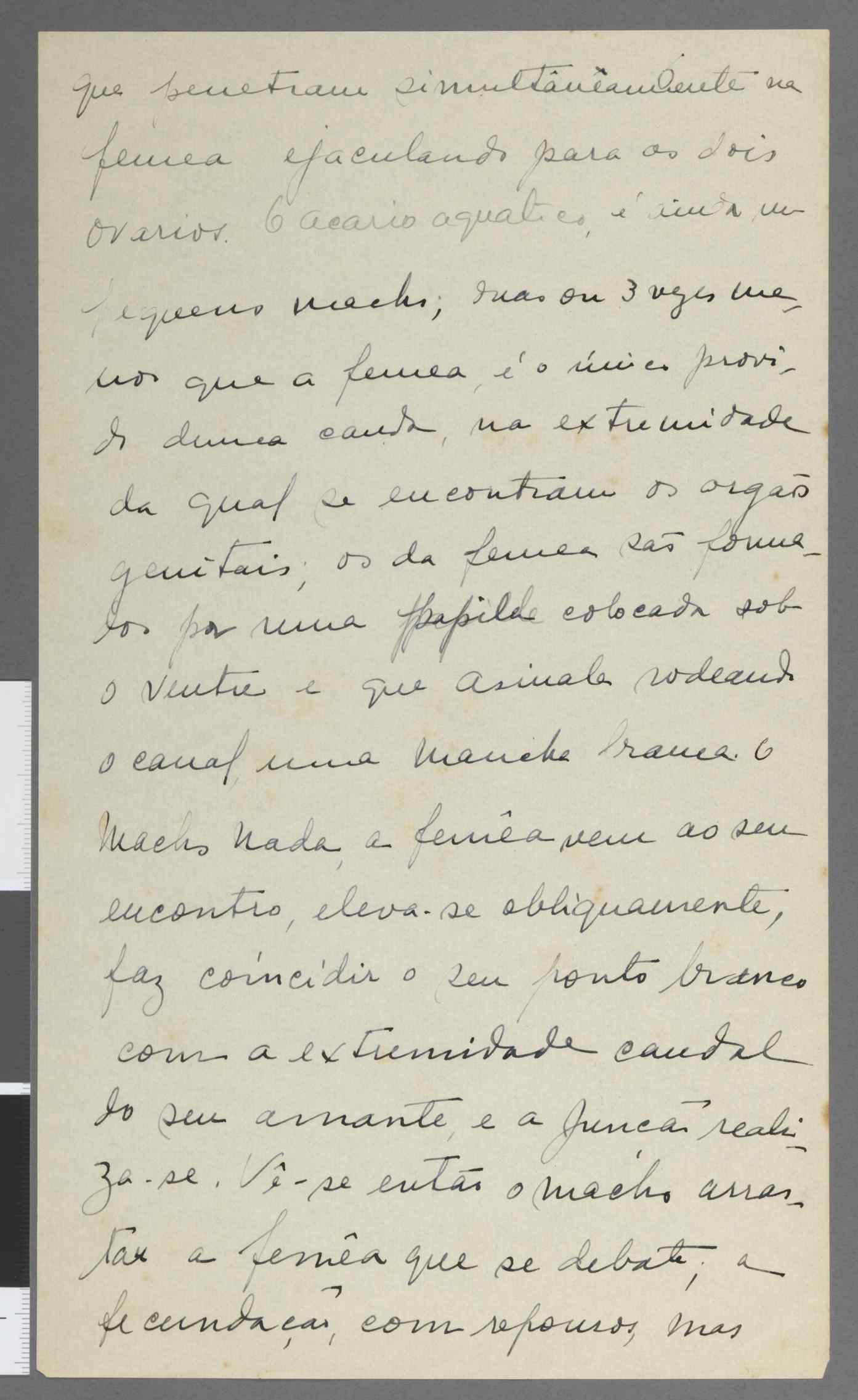 04959.083.001- pag.6