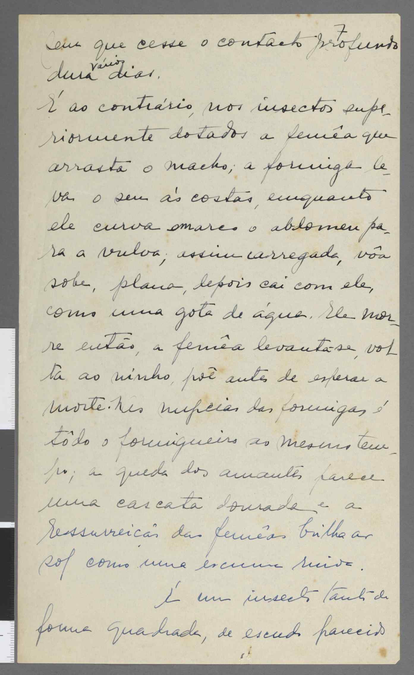 04959.083.001- pag.7