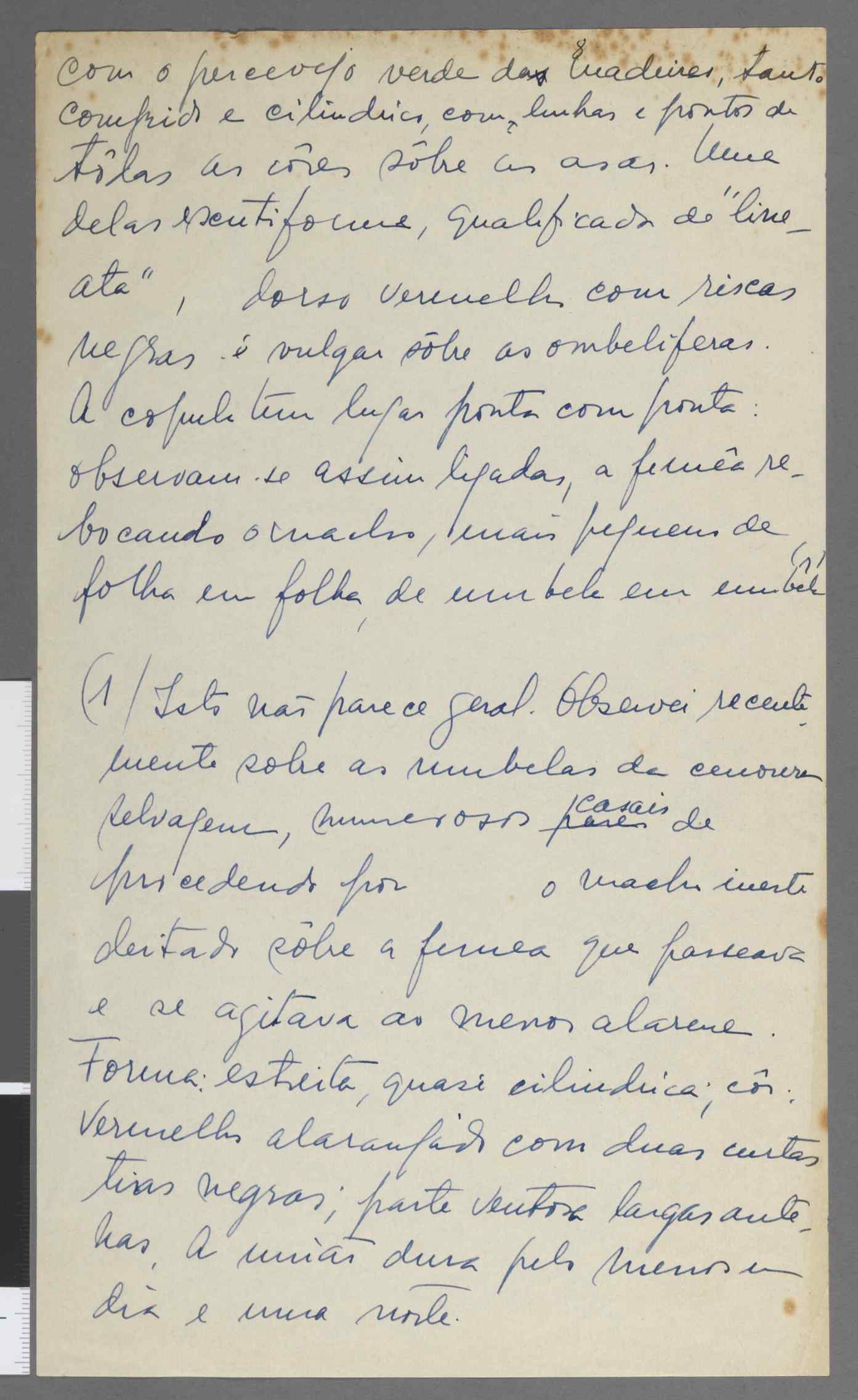04959.083.001- pag.8