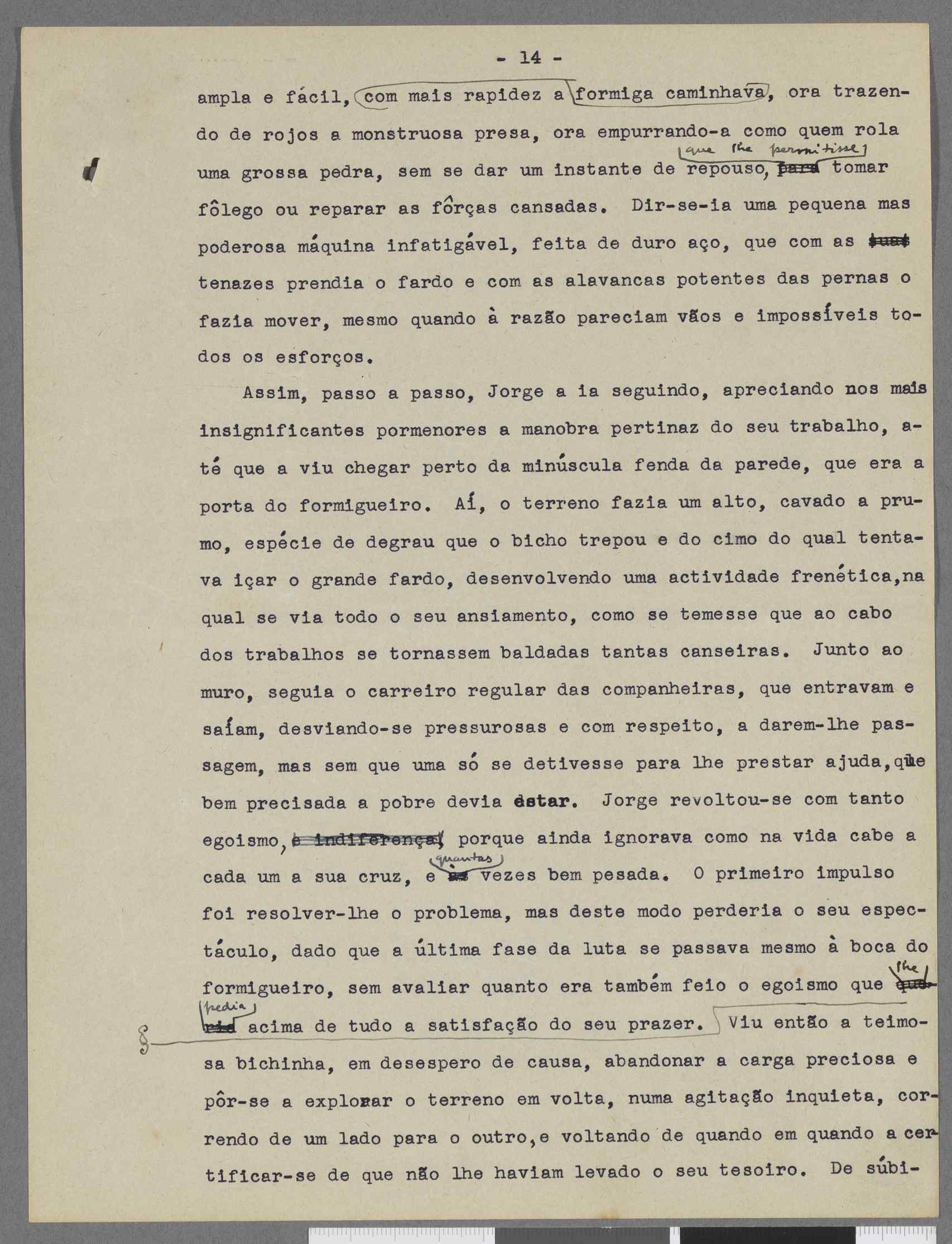 04959.109.001- pag.13