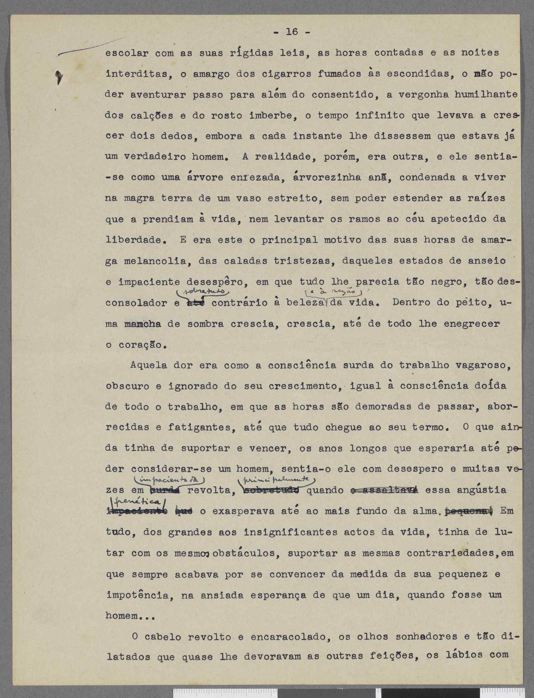 04959.109.001- pag.15