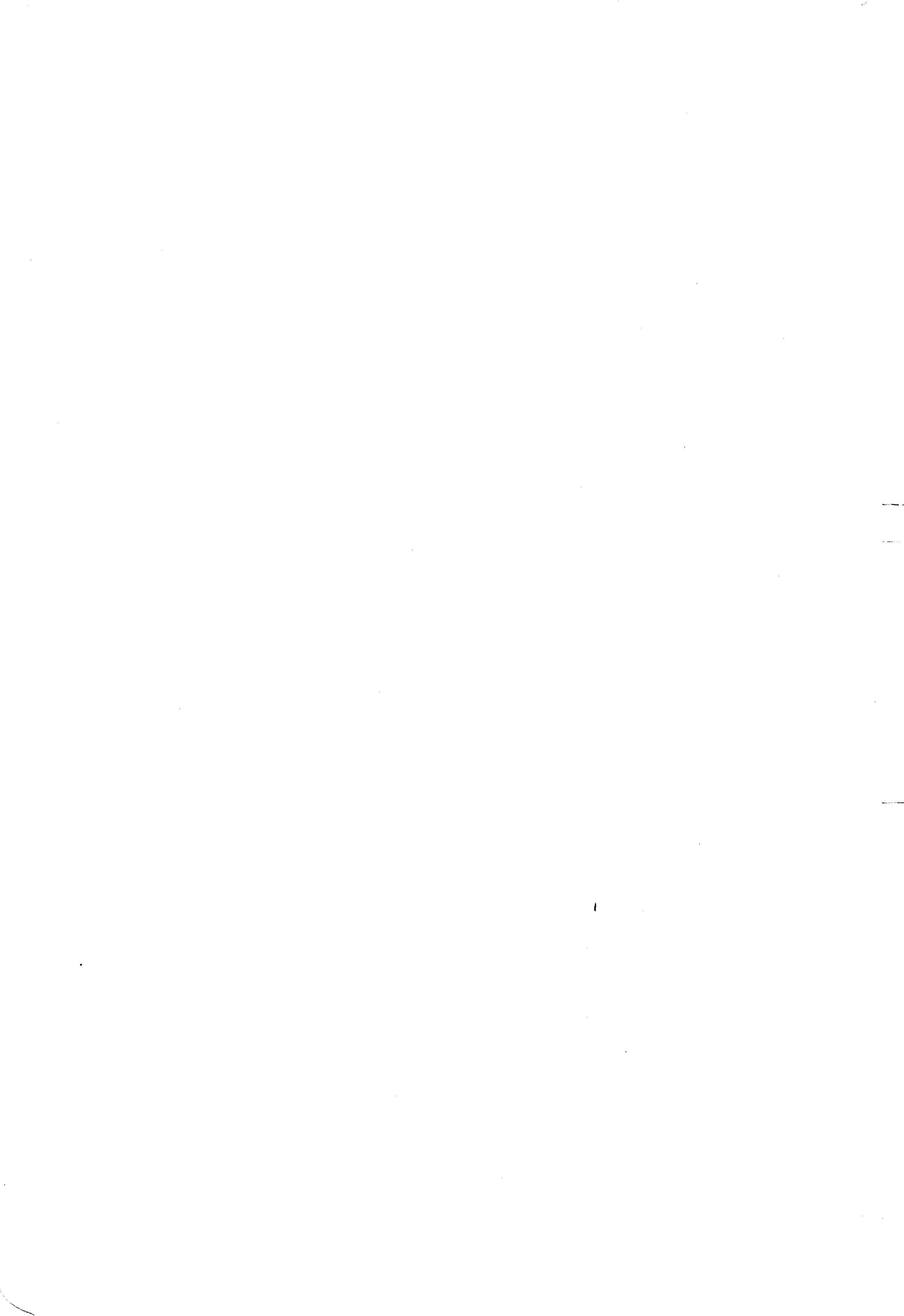 05000.273- pag.2