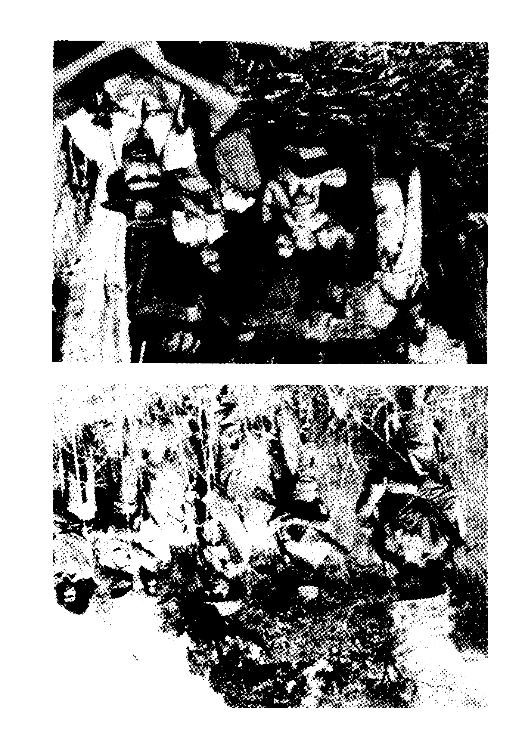 05008.015- pag.3