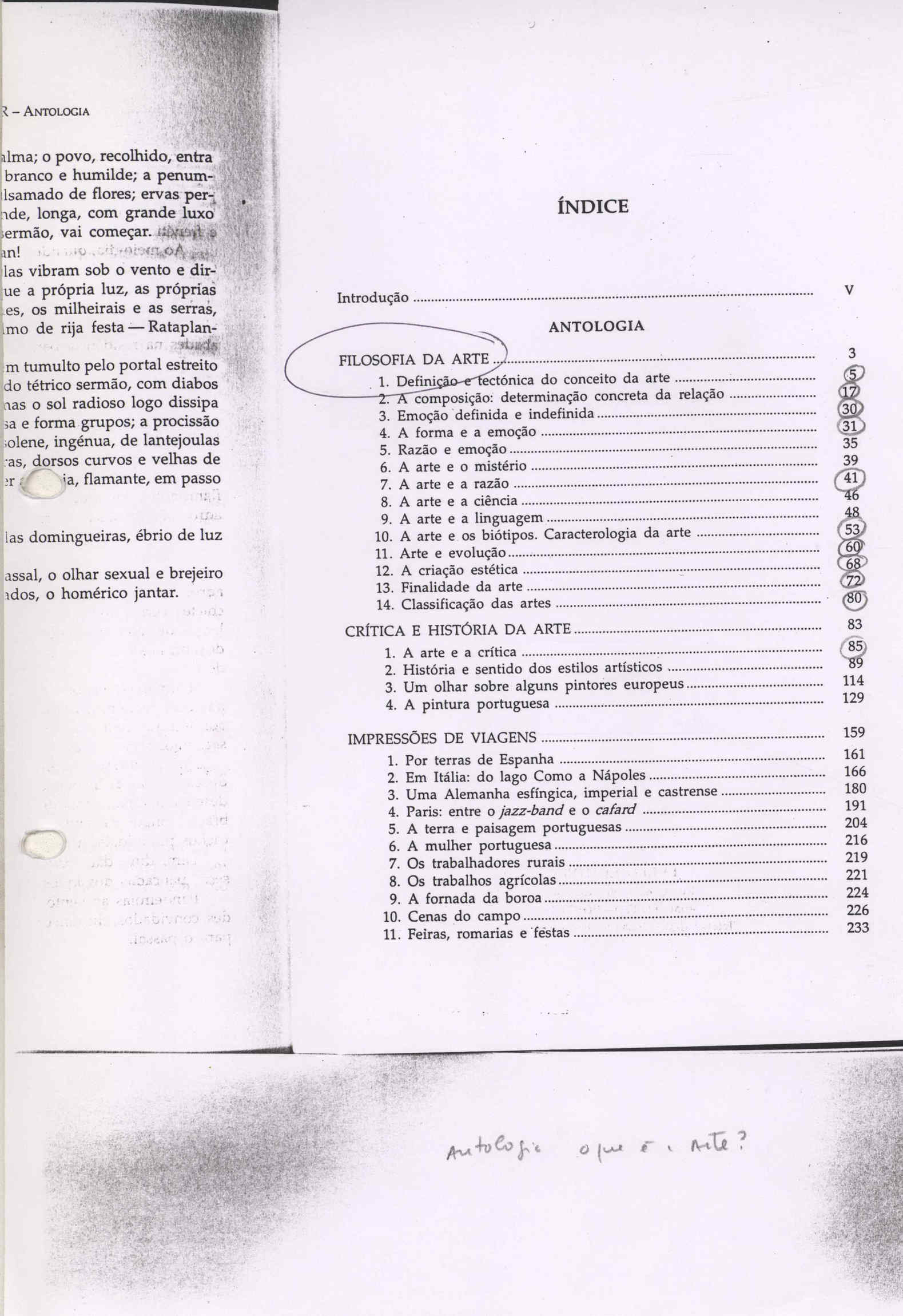 05385.011- pag.2