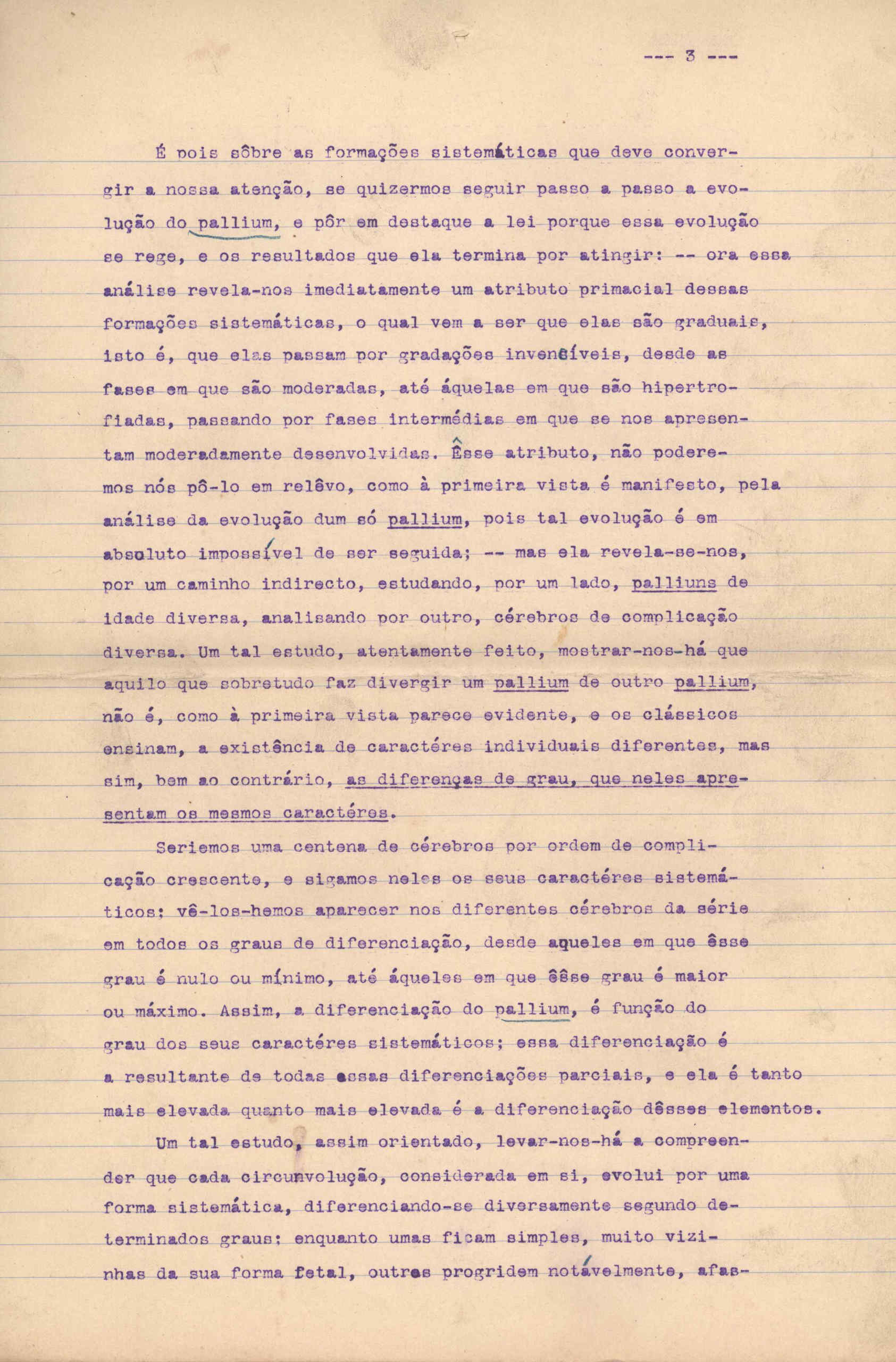 05388.007- pag.3