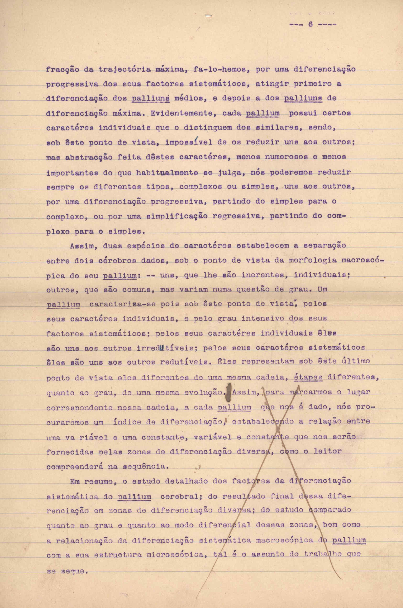 05388.007- pag.6